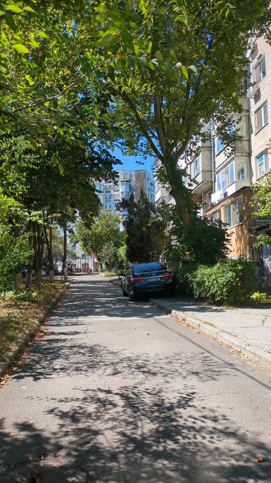The image depicts a street scene in Chișinău, Moldova, characterized by residential buildings and abundant greenery. A dark sedan is parked on the right side of the road, its rear end close to the curb. The street is paved and shows signs of wear, with visible cracks. The surrounding area is lined with trees, their leaves casting dappled shadows on the asphalt. In the background, several multi-story apartment buildings are visible, some with balconies. The sky is clear and blue. The overall impression is of a typical urban street on a sunny day.