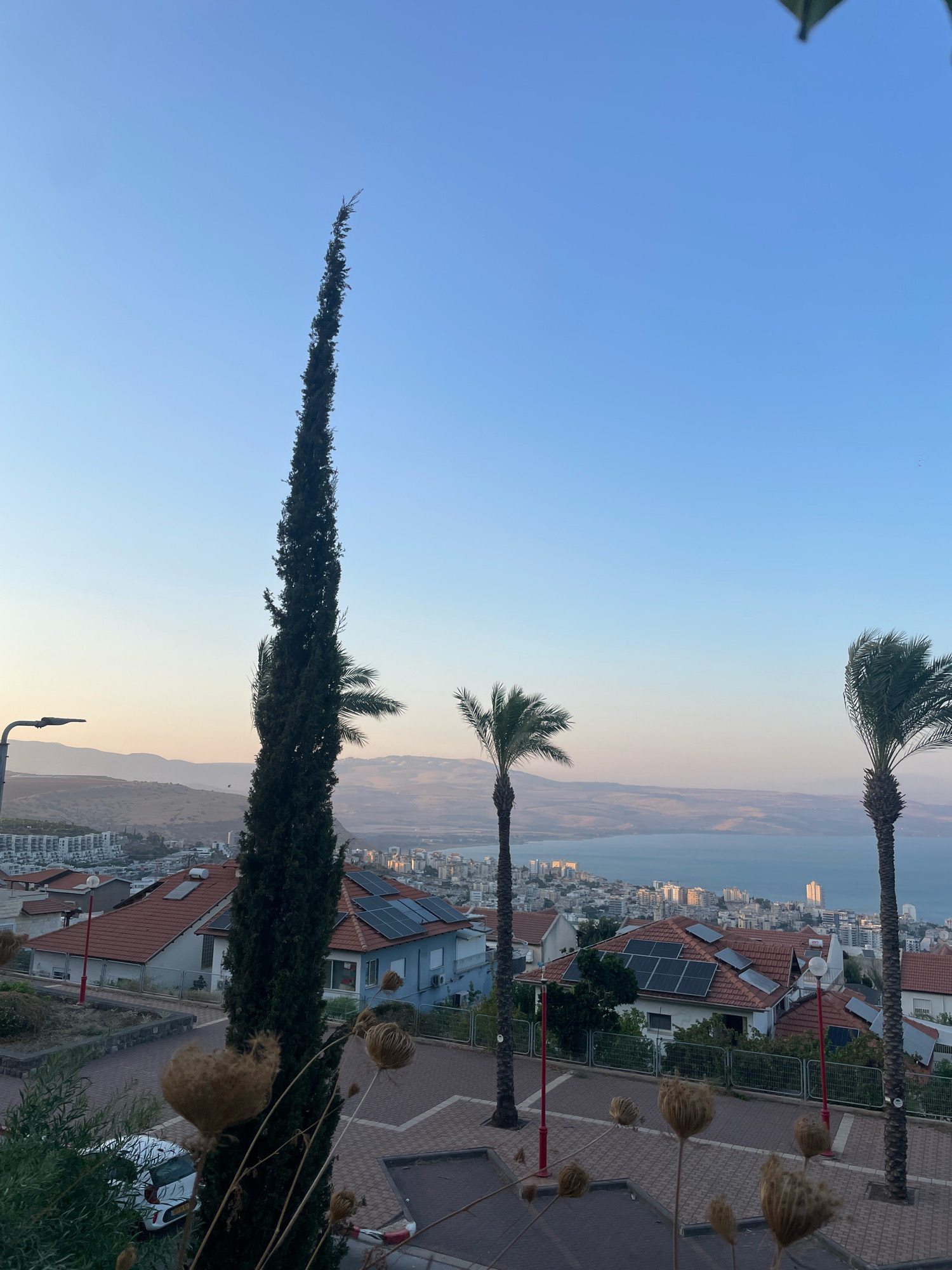 A high-angle, medium shot captures a serene view of Tiberias, Israel, from a hilltop vantage point at dusk. The sky is a gradient of pale blue to soft pink, with a faint haze blurring the distant mountains. In the foreground, a tall, slender evergreen tree dominates the left side of the frame, its dark foliage stark against the clear sky. To its right, two palm trees sway gently, their fronds appearing windswept.
Below, a residential area of Tiberias unfolds, characterized by terracotta-tiled roofs and light-colored buildings. Several houses are equipped with solar panels, suggesting a modern integration of renewable energy. A large body of water, presumably the Sea of Galilee, stretches across the middle ground, reflecting the soft light of the setting sun. The city's buildings cluster along its shores, with taller structures visible in the distance.
The foreground also features a paved pathway with red and gray brickwork, interspersed with planters and decorative red lampposts. Several dried, bulbous seed heads of plants are scattered throughout this area, adding a touch of natural texture to the scene. A white car is parked on the left side of the pathway. The overall atmosphere is tranquil and picturesque, evoking a sense of peaceful evening in a Mediterranean city.