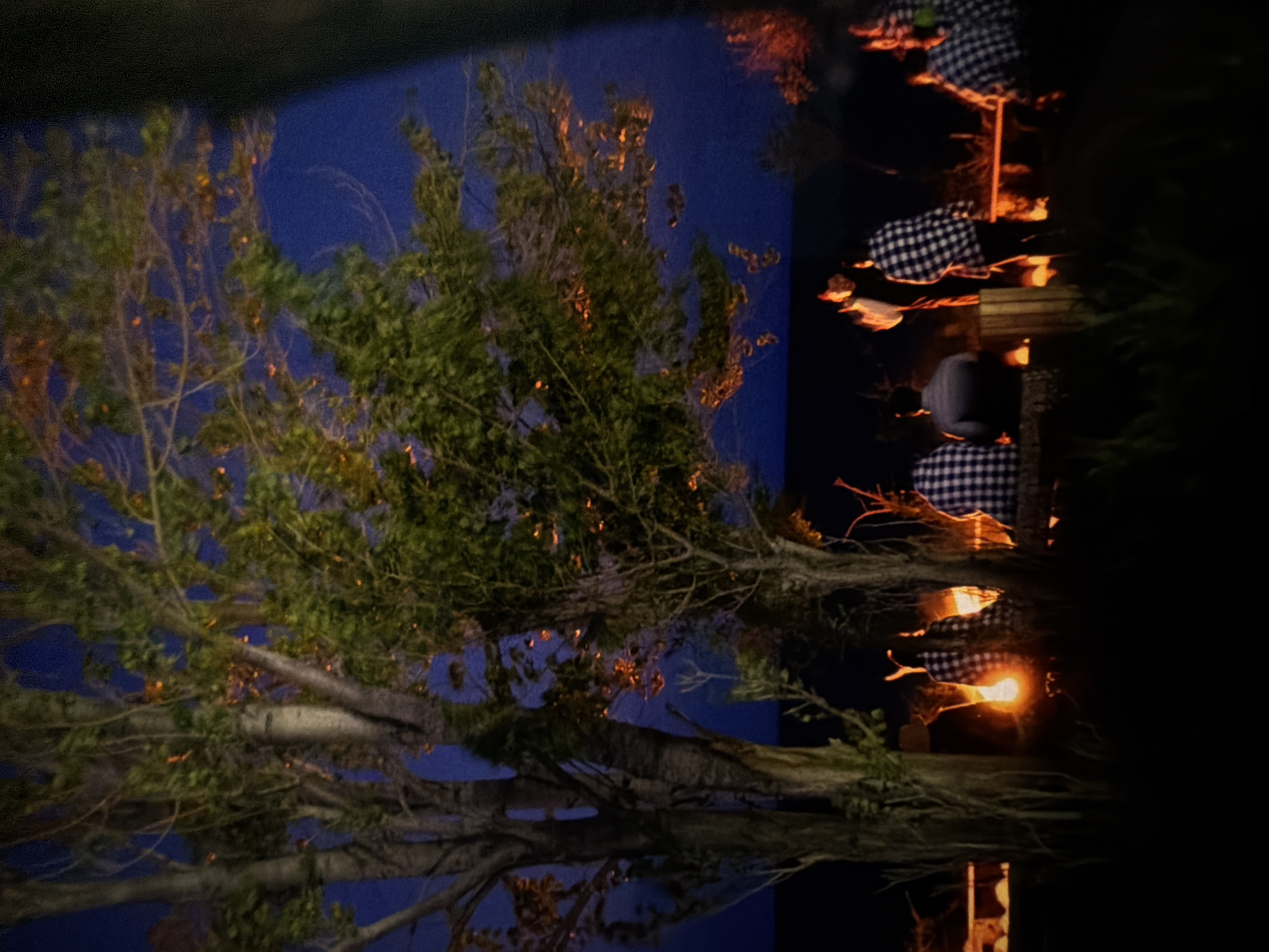 At night, a group of people gather around a bonfire in Bishkek City, Kyrgyzstan. The scene is illuminated by the warm glow of the fire, casting shadows on the surrounding trees and the faces of the individuals. The sky above is a deep blue, hinting at the late hour. The people are casually dressed, some wearing plaid shirts, and appear to be engaged in conversation or simply enjoying the ambiance of the gathering. The overall atmosphere suggests a relaxed and communal evening spent outdoors.