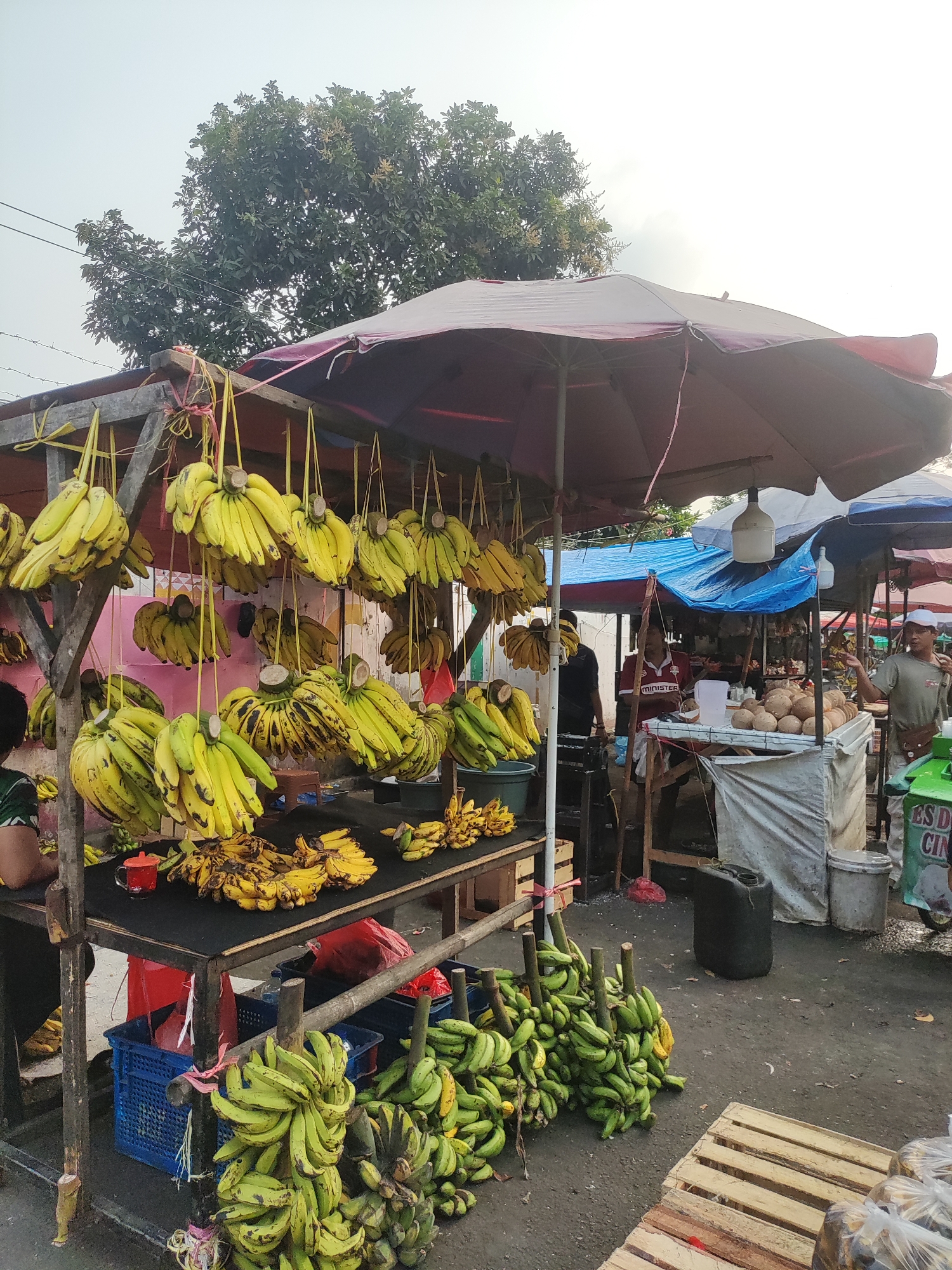 This is a ground-level, medium shot of an outdoor fruit market in East Jakarta, Indonesia, with a focus on bananas. In the foreground, several bunches of green bananas are piled on the ground, some tied to wooden stakes. A wooden pallet sits to the right. Behind this, a table laden with more bananas, some yellow and some greener, is visible, along with blue crates and a red mug.
In the mid-ground, large quantities of yellow bananas hang from a wooden structure covered by a large, dark umbrella. Several people are present. A man wearing a red shirt with "MINISTER" written on it stands behind a table displaying coconuts. To his right, another man in a light-colored shirt and cap gestures towards the camera. Further back, a person wearing a dark shirt stands near a blue tarp.
The background shows more market stalls and trees. The sky is bright and overcast. The overall scene depicts a busy, open-air market selling fresh produce.