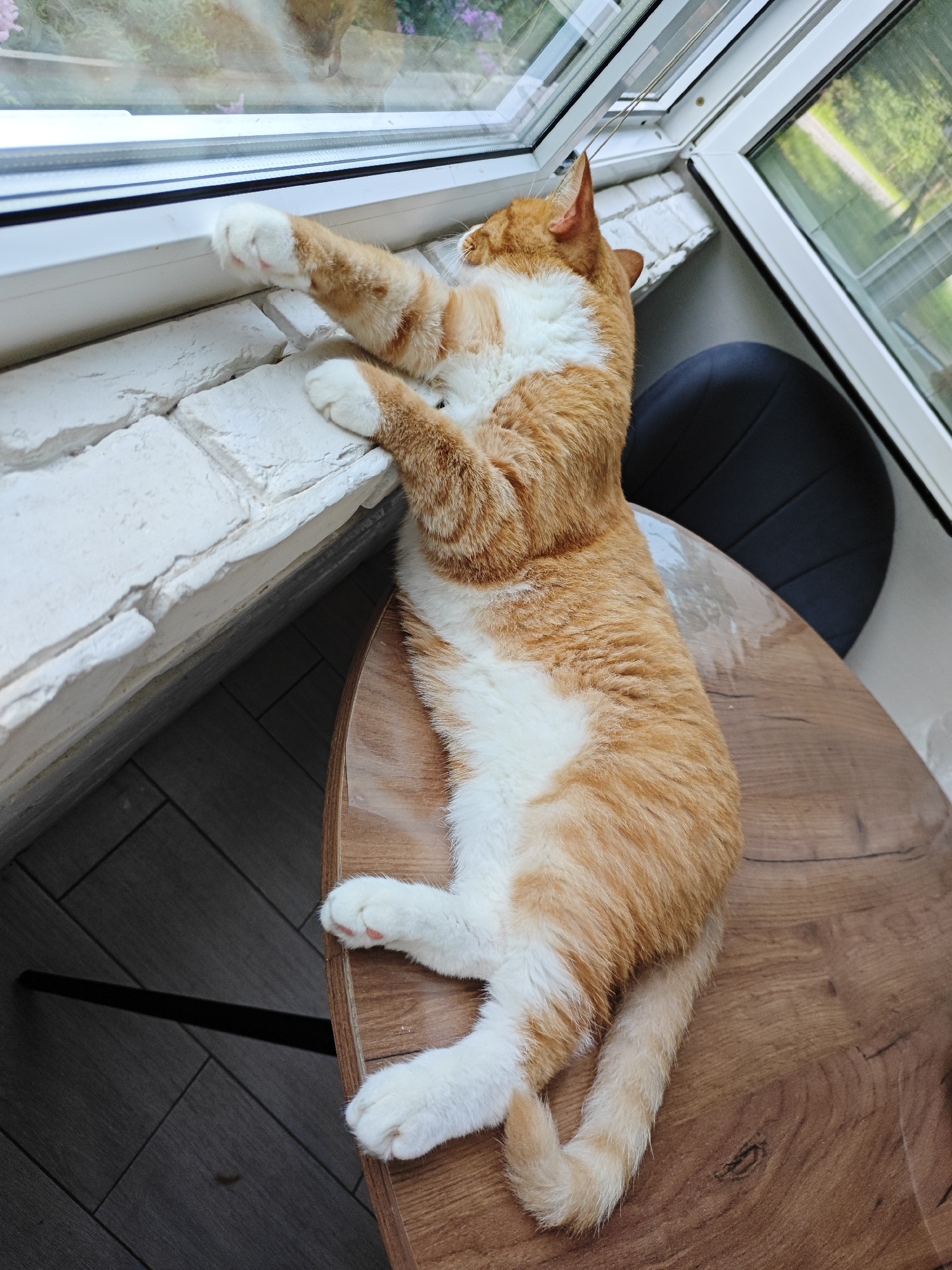 An orange and white cat is lying on a wooden table, its front paws reaching up to a white brick windowsill. The cat is positioned in a relaxed, stretched-out pose, facing a window. The windowsill appears to be part of a sunroom or enclosed porch. Through the window, a blurred outdoor scene with greenery is visible. The lighting suggests it is daytime. The image does not provide any specific information that would allow for the identification of the location as Borovsk, Russia.