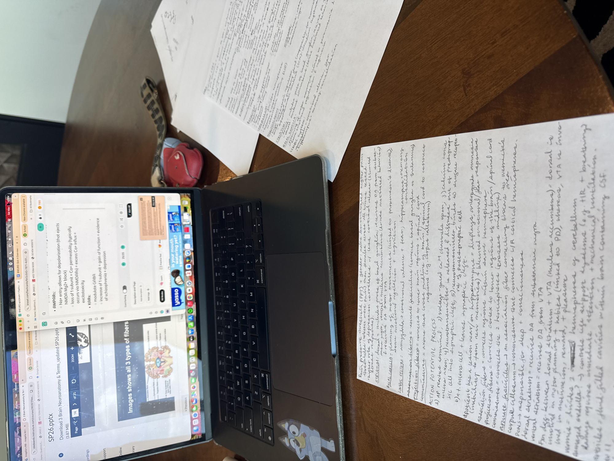 A medium-shot image shows a dark wooden table with papers and a laptop on it. The laptop is open, displaying a document titled "SP26.pptx," showing information about brain neuroanatomy. Handwritten notes on white paper are adjacent to the laptop. The environment consists of a light-colored wall and what appears to be a wooden floor.