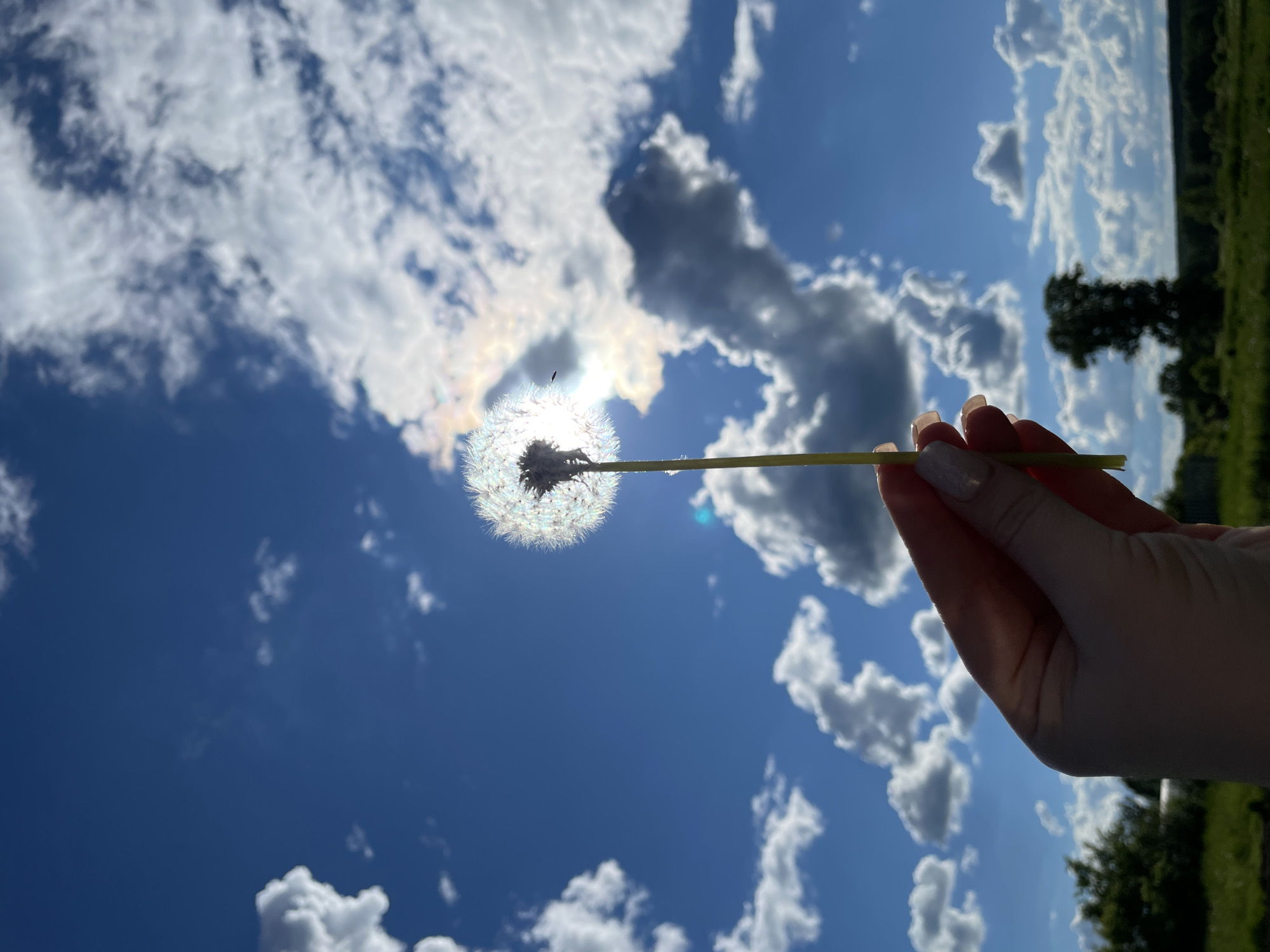 A hand is holding a dandelion flower in front of a bright, sunny sky with scattered clouds. The sun is positioned behind the flower, creating a silhouette effect. The background includes a landscape with green foliage and trees. The location is inferred to be in or near Балдейка, Russia.