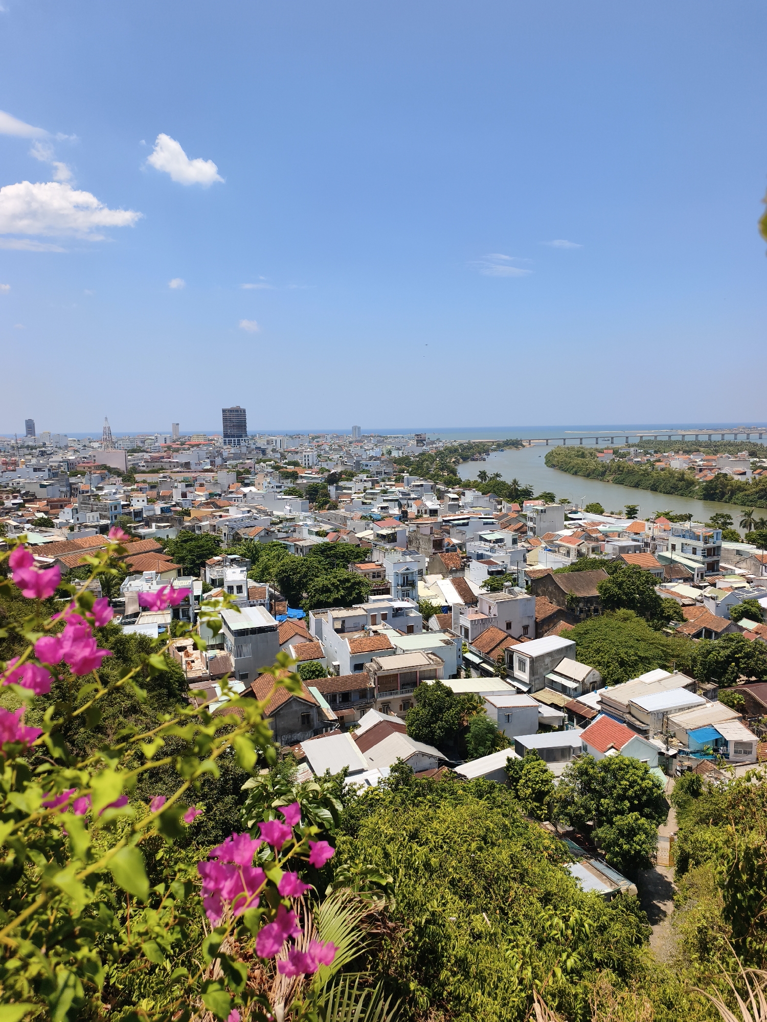 An elevated, wide-angle, eye-level shot captures a sprawling city and a river under a clear blue sky. In the foreground, a vibrant cluster of bright pink bougainvillea flowers and green foliage descends into the frame from the left. Beyond the flowers, the city of Tuy Hoa, Vietnam, unfolds, characterized by a dense collection of buildings with terracotta, white, and grey rooftops, interspersed with lush green trees. The urban landscape stretches towards a wide, tranquil river that bisects the city, with a distant bridge spanning its width. The horizon is marked by the shimmering ocean and a hazy sky. Several tall buildings, including a prominent dark, cylindrical structure, punctuate the cityscape. The overall impression is of a sunny, populated urban environment adjacent to a significant waterway.