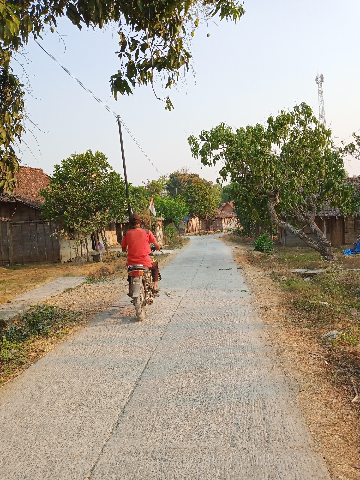 The image depicts a rural scene in Rowobungkul, Indonesia, with a person riding a motorcycle down a paved road. The rider, wearing a red shirt and dark pants, is positioned in the center of the frame, moving away from the viewer. The road is flanked by simple, traditional houses with tiled roofs, some appearing weathered. Lush green trees are abundant on both sides of the road, with one particularly large, gnarled tree prominent on the right. Overhead, power lines are visible, stretching across the sky, and a distant cell tower can be seen on the horizon. The environment appears to be dry, with patches of brown grass and dirt alongside the road. A small Indonesian flag is planted near one of the houses. The lighting suggests it is either early morning or late afternoon.