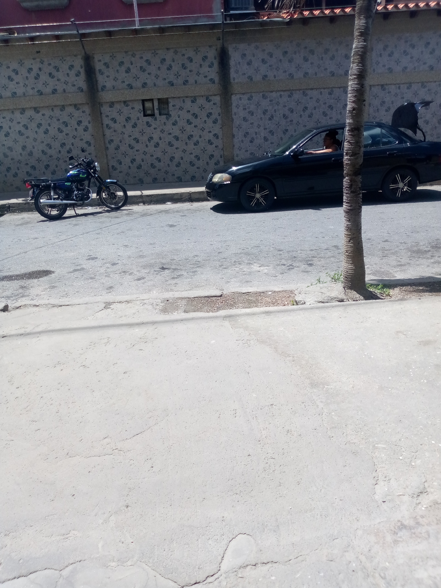 A black sedan is parked on the side of a street. The trunk of the car is open, and a person is visible in the driver's seat, looking forward. Next to the car, a dark-colored motorcycle is parked along the curb. The scene takes place on a street with a concrete sidewalk in the foreground. Behind the motorcycle and car, a textured wall with a repeating pattern is visible, and beyond that, a building with a red roof. A palm tree trunk is prominent in the right side of the frame, obscuring part of the car and the background. The time of day appears to be daytime, with bright lighting, suggesting clear weather. There is no visible text in the image.