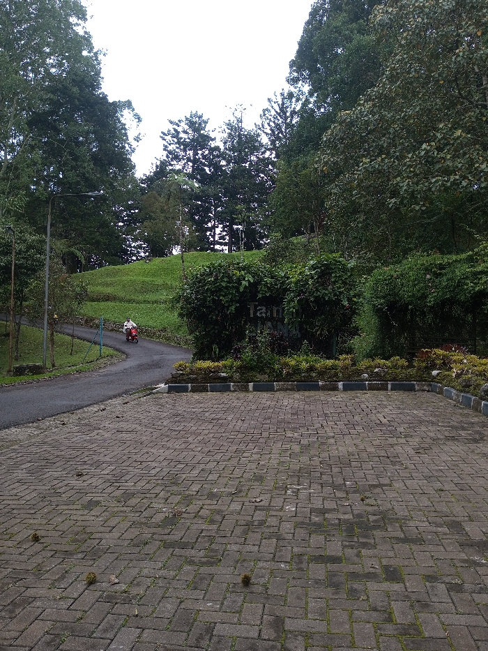 The image presents a serene outdoor scene, likely an entrance to a park or natural reserve in Bijanwada, India. In the foreground, a large, rectangular area paved with grey brick pavers arranged in a herringbone pattern serves as a parking or gathering space. This paved area is bordered by a low curb constructed from alternating light and dark grey rectangular stones.
Beyond the paved foreground, a winding asphalt road ascends uphill and curves gently to the left, disappearing into the lush green landscape. A single person, dressed in light-colored attire, is seen riding a red scooter up this road, moving away from the viewer. To the left of the road, a street light stands tall.
Dominating the mid-ground on the right is a large, dense hedge of dark green bushes, which incorporates a carved sign. The word "Taman" is clearly visible within the foliage, with additional text, possibly "WANNA," partially obscured beneath it. This sign is nestled within a bed of various green and reddish plants. The immediate surroundings of the road and sign are characterized by well-maintained grassy slopes and abundant foliage.
The background is filled with a dense canopy of tall trees, including both broadleaf and coniferous types, suggesting a forested or heavily vegetated area. The sky above is bright but appears overcast, indicating soft, diffused lighting and possibly a cloudy day. The overall scene conveys a sense of natural beauty and tranquility.