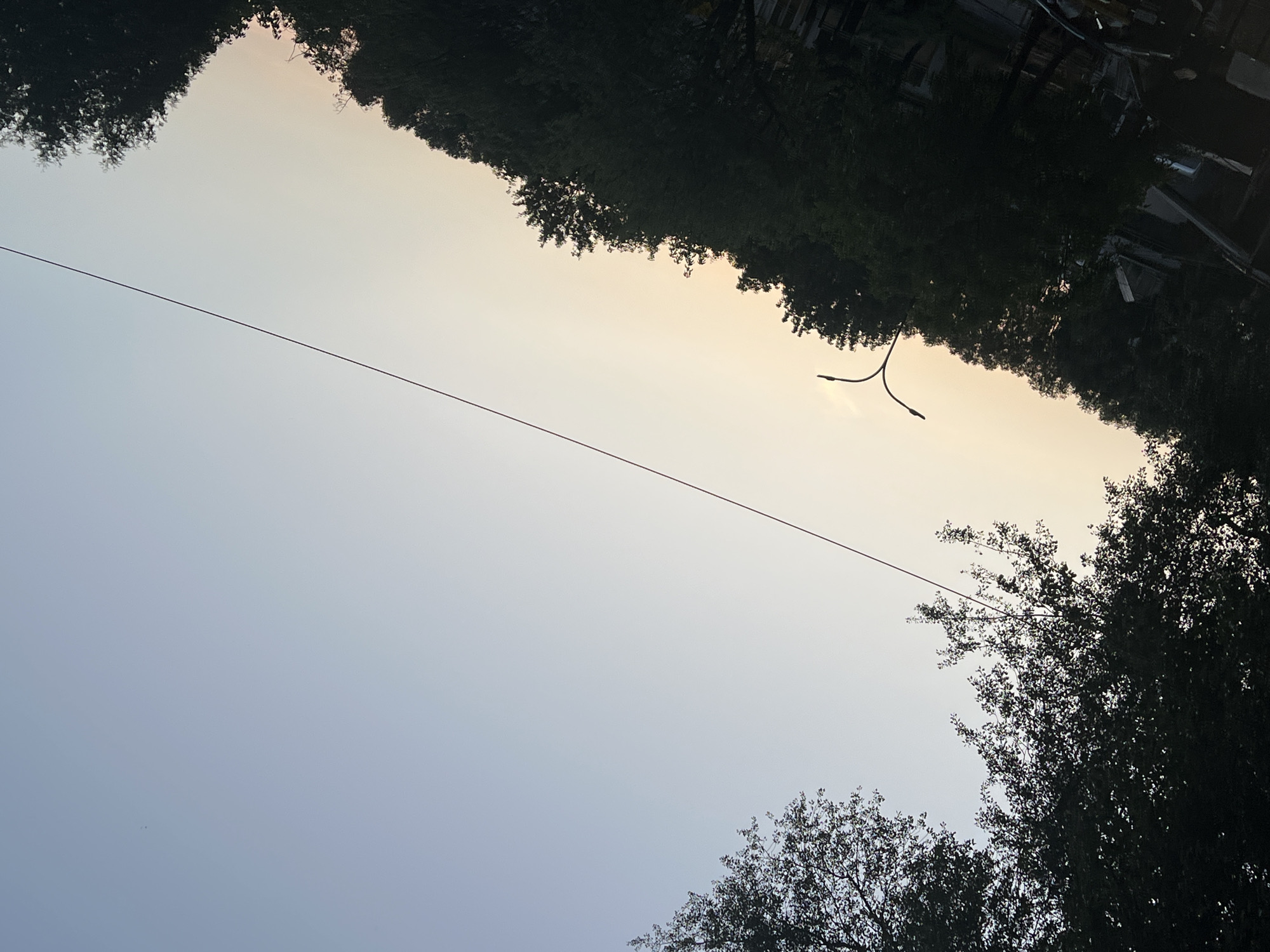 The image shows a view of the sky with trees and a street light in Warsaw, Poland. The sky is a pale blue, transitioning to a lighter hue towards the horizon, suggesting either dawn or dusk. Silhouetted against the sky are the tops of numerous trees, their dark foliage creating a stark contrast. A street light with a distinctive curved arm is visible in the middle ground, its form also silhouetted. A thin dark line, likely a wire, stretches diagonally across the upper half of the frame. The overall impression is of an urban landscape bathed in the soft light of either sunrise or sunset.