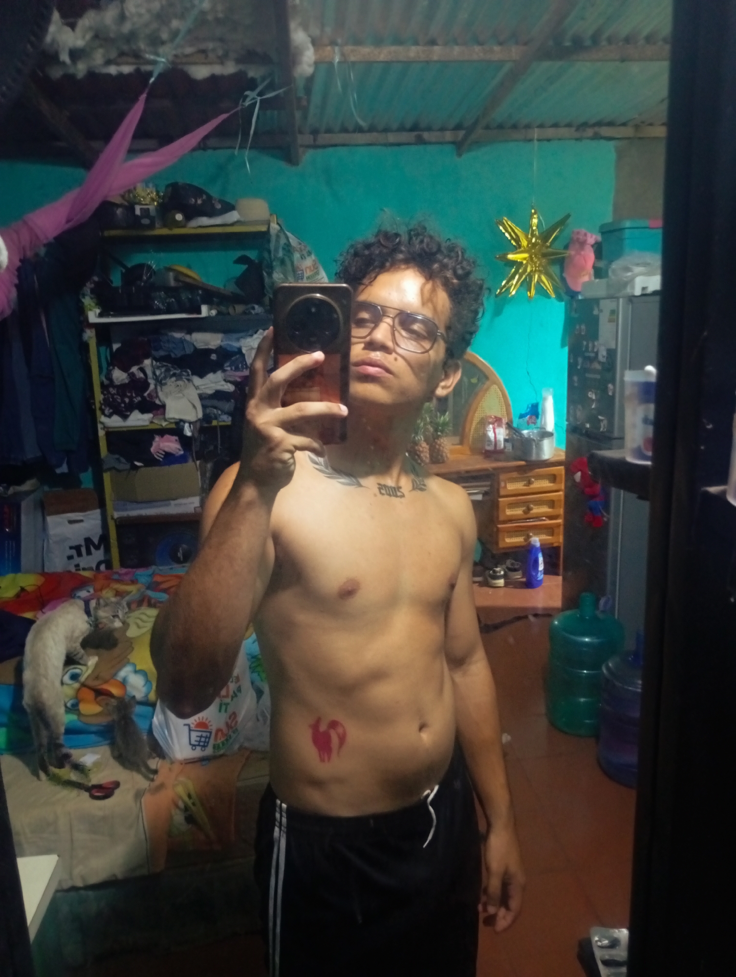 The image is a mirror selfie of a bare-chested person with curly hair and glasses, wearing black athletic shorts. They are standing in a cluttered room. To the left, a shelf unit is filled with clothes and various items. In the background, a gold star decoration hangs from the ceiling. A desk with drawers is visible, holding kitchenware and a bottle of blue liquid. Two large water jugs are on the floor. A cat is lying on a colorful bedspread in the lower left portion of the image. A red tattoo of a stylized animal is visible on the person's lower abdomen. The scene suggests a residential interior, possibly a bedroom or living space, located in the city of Altagracia, Venezuela.
