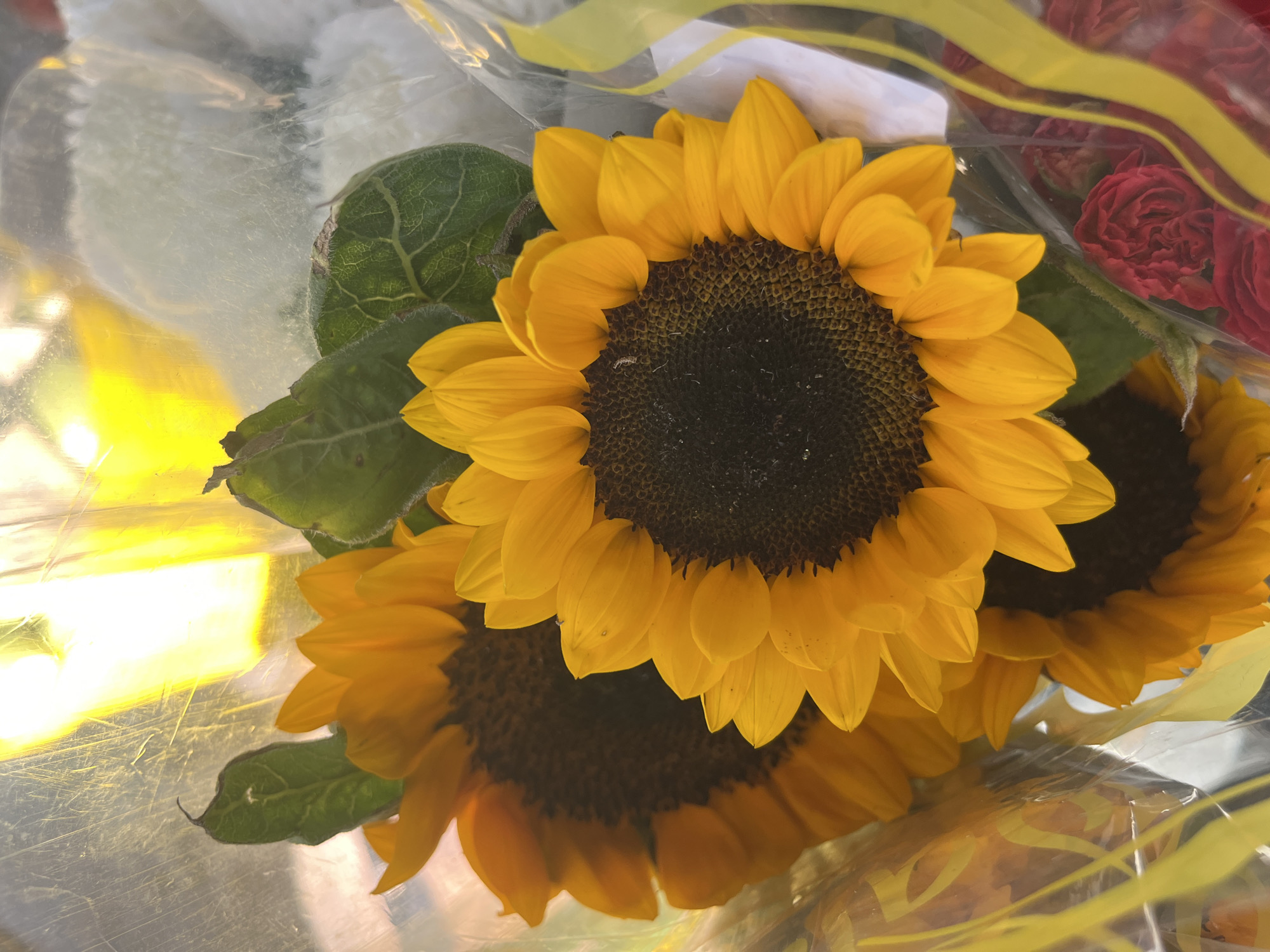 This image shows a close-up of a bouquet of sunflowers and red roses, wrapped in clear plastic with yellow ribbon accents. The bouquet appears to be a gift or for sale. The background is blurred but suggests an indoor setting with bright, yellow lighting, possibly from a window or artificial light source. The image does not provide any information about the specific location within Bac Nha Trang Ward, Vietnam. There are no people or interactions visible in the image.