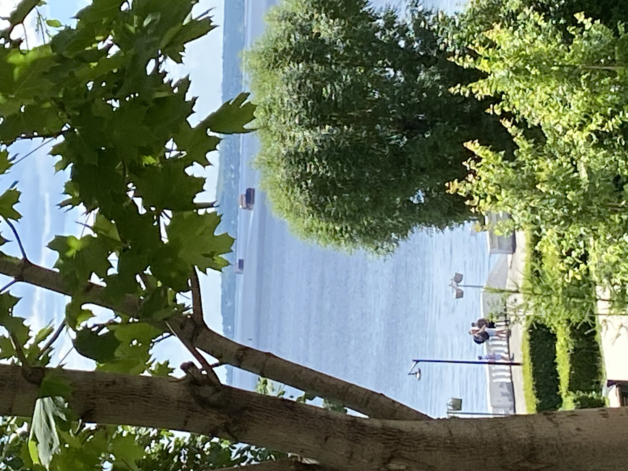 This is a vertical, outdoor shot taken from a slightly elevated perspective, looking down at a body of water and a park-like area. In the foreground, the branches and leaves of a large tree are prominent, with some leaves obscuring the view of the background. The water, likely a lake or river, occupies a significant portion of the midground. On the far bank, there is a shoreline with a path, green vegetation, and some structures that appear to be buildings or piers in the distance.
On the nearer bank, a paved path runs alongside the water, bordered by lush green hedges. Several lampposts are visible along the path. Two people are present in this area: one person is sitting on the path, and another pair are standing together. The pair appears to be interacting, possibly engaged in conversation or taking a break.
The time of day appears to be daytime, with bright sunlight illuminating the scene, casting shadows and highlighting the vibrant green of the foliage. The weather seems pleasant, with a clear sky visible in some areas. The overall atmosphere is peaceful and relaxed, suggesting a recreational area where people can enjoy the outdoors. There is no visible text in the image.