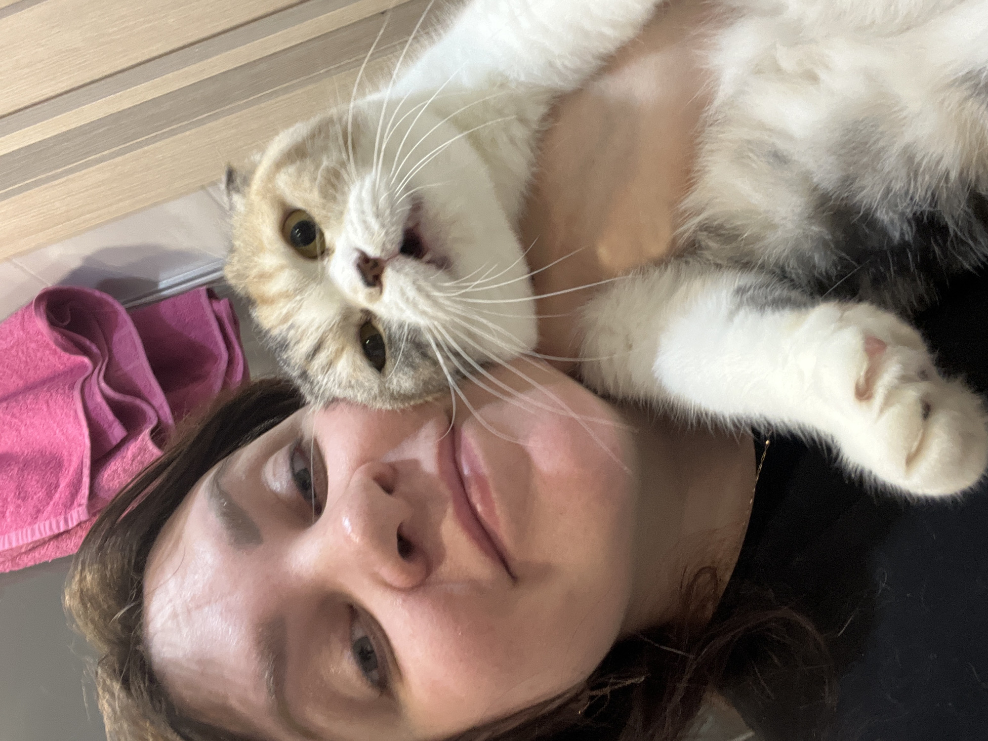 A close-up, vertically oriented image captured indoors in Noviy, Russia, shows a woman and her cat in an affectionate interaction. The woman, with dark brown hair framing her face, is in the foreground, looking directly at the viewer with a neutral to slightly content expression.
Resting on or near the woman's face and chest is a domestic cat, distinguished by its white, tan, and gray-brown fur patches. The cat's head is prominent, featuring striking yellow-green eyes that are wide and attentive, looking towards the camera. Its mouth is slightly open, revealing a hint of teeth, and long, white whiskers fan out from its snout. One of the cat's front paws, white with pink paw pads, is visible towards the bottom right of the frame.
The background includes a light-colored wooden surface with horizontal slats, possibly a wall or furniture, to the upper left. A crumpled fuchsia or deep pink towel rests on a dark surface to the left of the woman's head. The lighting indicates an indoor setting. The composition suggests a playful moment, possibly a selfie, highlighting the close bond between the woman and her feline companion. No text is visible in the image.