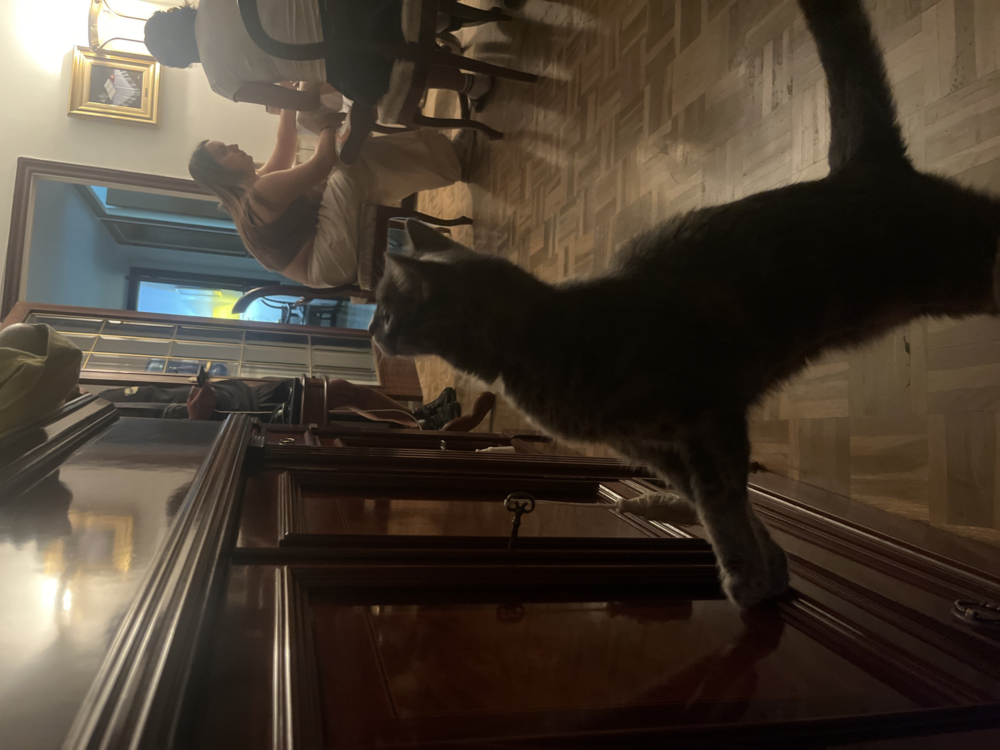 The image captures an indoor scene, likely in a home in Barcelona, characterized by warm, artificial lighting. In the foreground, a grey cat walks across a highly polished, dark wooden cabinet or chest of drawers. The cat's back is towards the viewer, and it appears to be moving from right to left, with its right front paw clearly visible on the surface. An antique-style key is inserted into a keyhole on the cabinet.
In the mid-ground and background, two individuals are visible. One person, with long brown hair, is seated on a chair, facing right, wearing a dark top and light pants. Their arms are raised, seemingly engaged in an activity or interaction with the second person, who is partially visible standing or sitting behind them, wearing a white t-shirt. The background features a light-colored, patterned wooden floor (likely parquet or herringbone), and dark wooden chairs.
To the left, a large mirror reflects part of the room, including what might be another person lying down on a couch or bed. Above the mirror, a framed picture and an ornate wall sconce with a warm glow are visible. The overall ambiance is domestic and calm, suggesting an evening setting. No visible text is present.