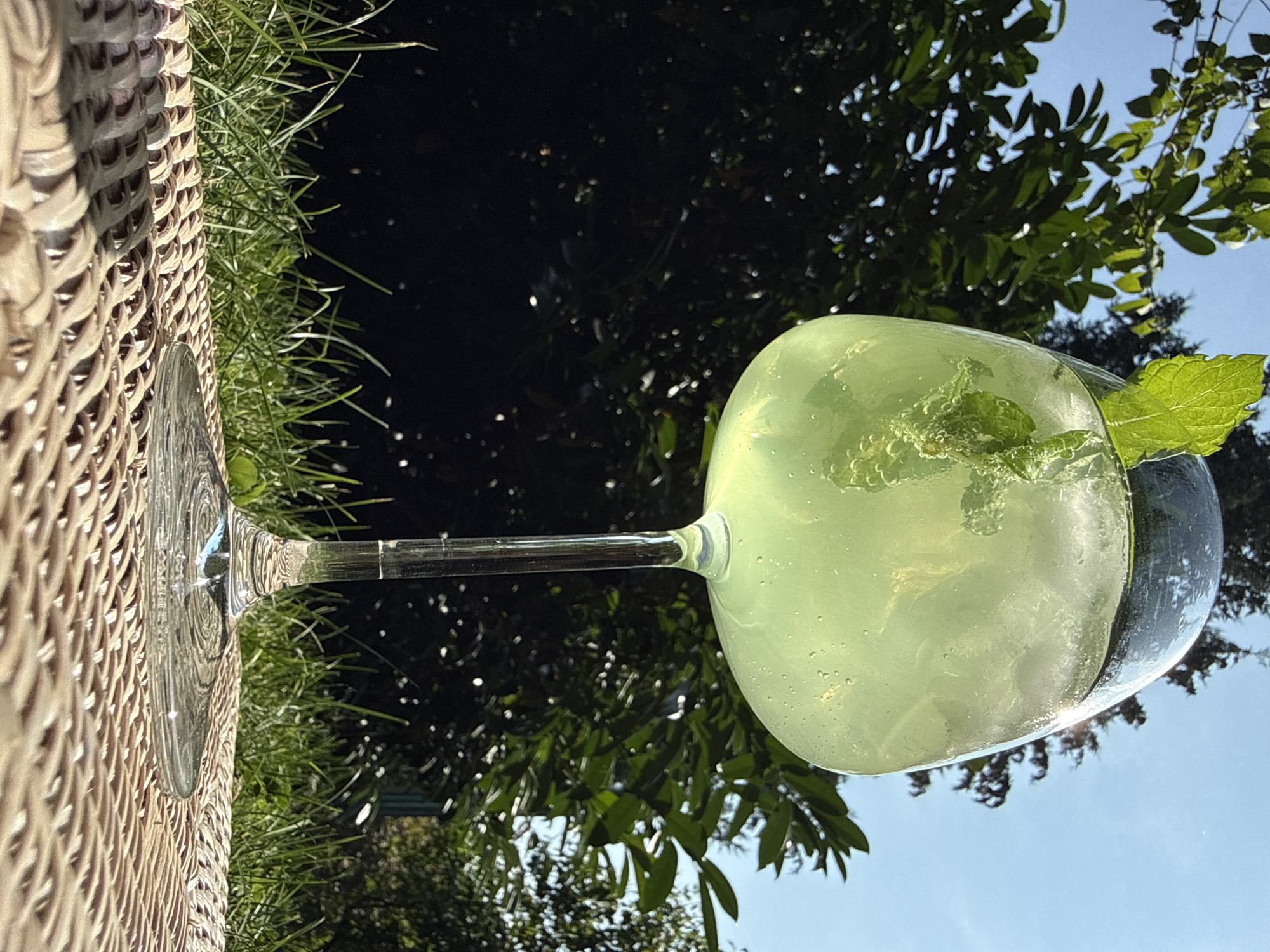 A tall, stemmed glass filled with a pale green beverage and ice is positioned on a woven placemat. The glass is decorated with a sprig of mint. The placemat rests on green grass. In the background, lush green foliage and a clear blue sky are visible. The scene appears to be outdoors, possibly in a garden.
