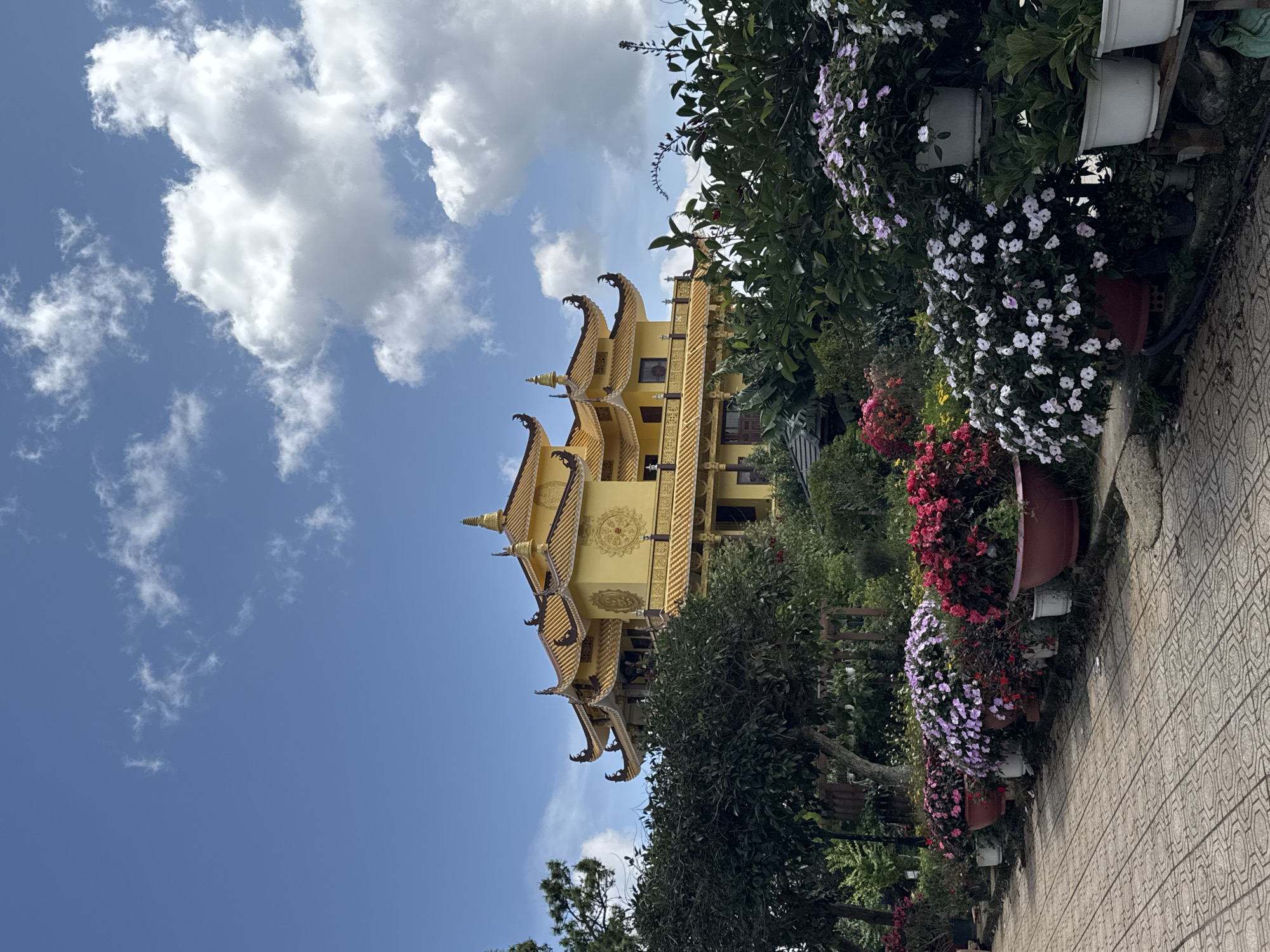 In Da Lat, Vietnam, a Buddhist temple with a distinctive yellow, multi-tiered roof adorned with gold ornamentation stands prominently against a bright blue sky dotted with fluffy white clouds. The temple is framed by lush greenery and vibrant flowers arranged in pots along a paved walkway. Trees with dense foliage are positioned in front of the temple, partially obscuring its lower levels, while the upper structure with its curved eaves and intricate details is clearly visible. The foreground features a path made of patterned grey tiles, and on the right side of the path, a row of large planters overflow with a profusion of colorful flowers, including pink, red, and white varieties. The overall scene depicts a serene and picturesque setting, likely a tourist attraction or a place of worship, characterized by its architectural beauty and vibrant natural elements.