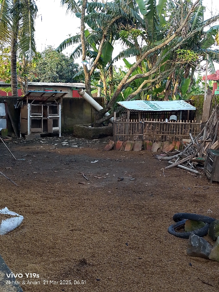 The image depicts a dirt yard in Kecamatan Anjatan, Indonesia, at the coordinates -6.417 latitude and 107.978 longitude. The yard is covered with brown, dried rice or grain. There are two wooden structures, one with a white roof and the other with a blue roof. A large tree with several branches dominates the left side of the image. There is a white PVC pipe lying on the ground, partially obscured by the tree. There are some wooden planks on the ground near the wooden structures and two tires in the lower right corner of the image. There are some rocks visible in the bottom right corner. The sky is partially visible and appears to be blue.