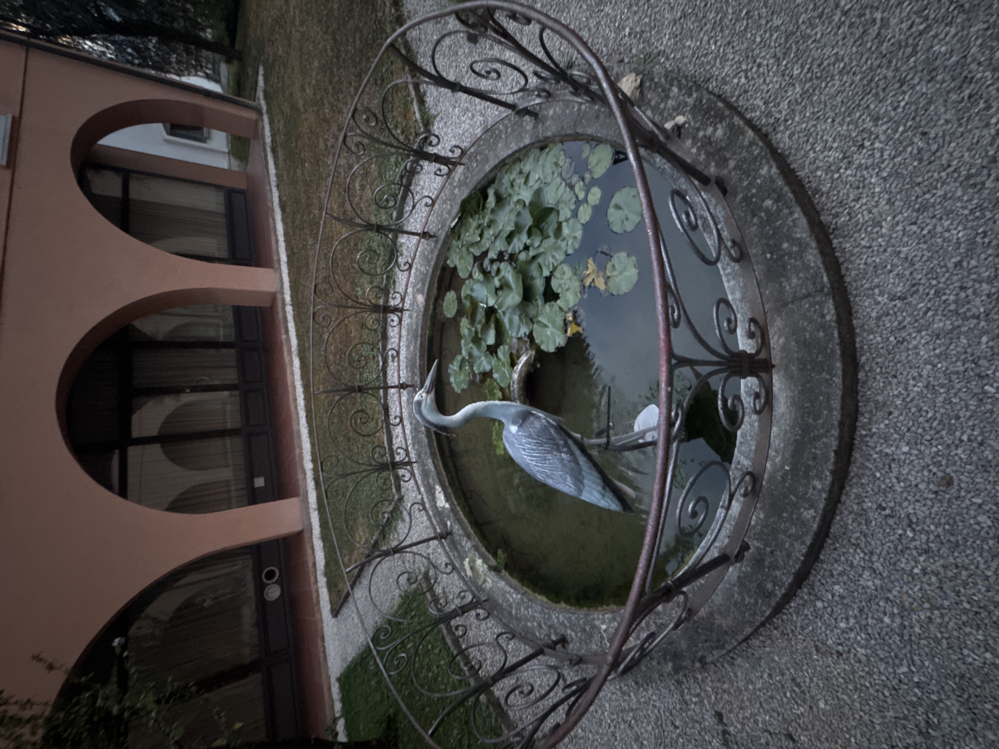 An ornamental fountain with a statue of a heron stands in front of a building with arched entrances in Balerna, Switzerland. The fountain is circular, made of stone, and surrounded by a decorative wrought iron fence. Inside the fountain are lily pads and murky water. The statue of the heron is gray and positioned in the center of the fountain. The building behind the fountain is painted a peachy color and has large windows with curtains visible. The ground surrounding the fountain is covered in small gray gravel. The overall scene is somewhat dimly lit, suggesting it might be late afternoon or early evening.