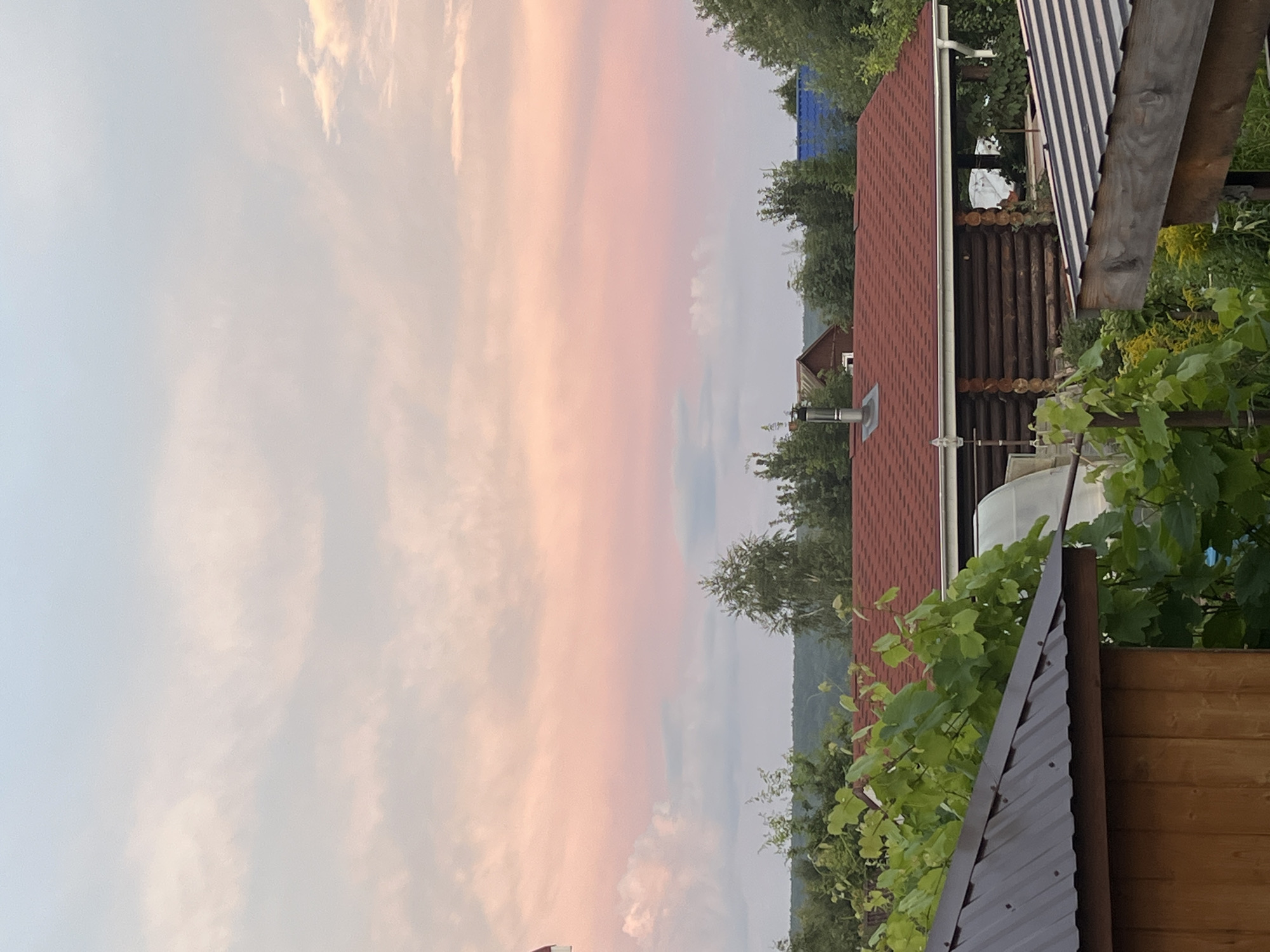 This is a photograph taken in Малая, Russia, depicting a twilight scene with a soft, pink and blue sky filled with wispy clouds. In the foreground, the corrugated metal roof of a wooden structure is visible on the left, with lush green grapevines partially obscuring it. To the right, another roof, this one with a dark metal finish and lighter stripes, is also in the foreground. In the mid-ground, a log cabin with a red shingled roof and a visible chimney stands amongst trees. A greenhouse structure is also partially visible behind the cabin. The background is filled with a dense line of trees and a distant, hazy landscape. There are no people or animals present in the image. The overall atmosphere is serene and rural.