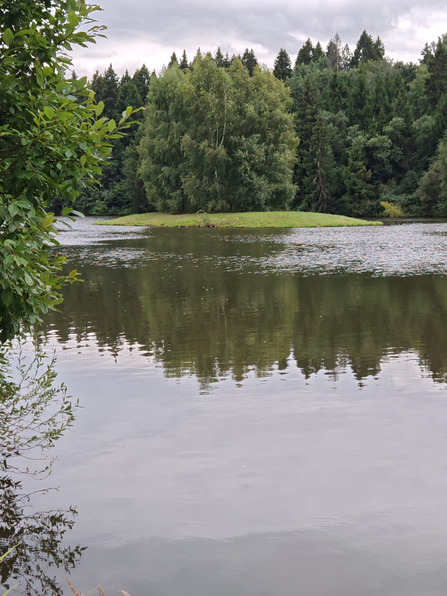 The image shows a calm lake with reflections of trees and the sky. In the distance, a dense forest lines the shore. A small island covered in grass and trees is situated in the middle of the lake. The water's surface is partially covered with what appear to be small, colorful floating objects, possibly leaves or debris. The foreground features a branch with green leaves extending into the frame from the left. The sky is overcast with gray clouds. The scene is tranquil and appears to be a natural landscape. The location is specified as Rosinka, Russia.