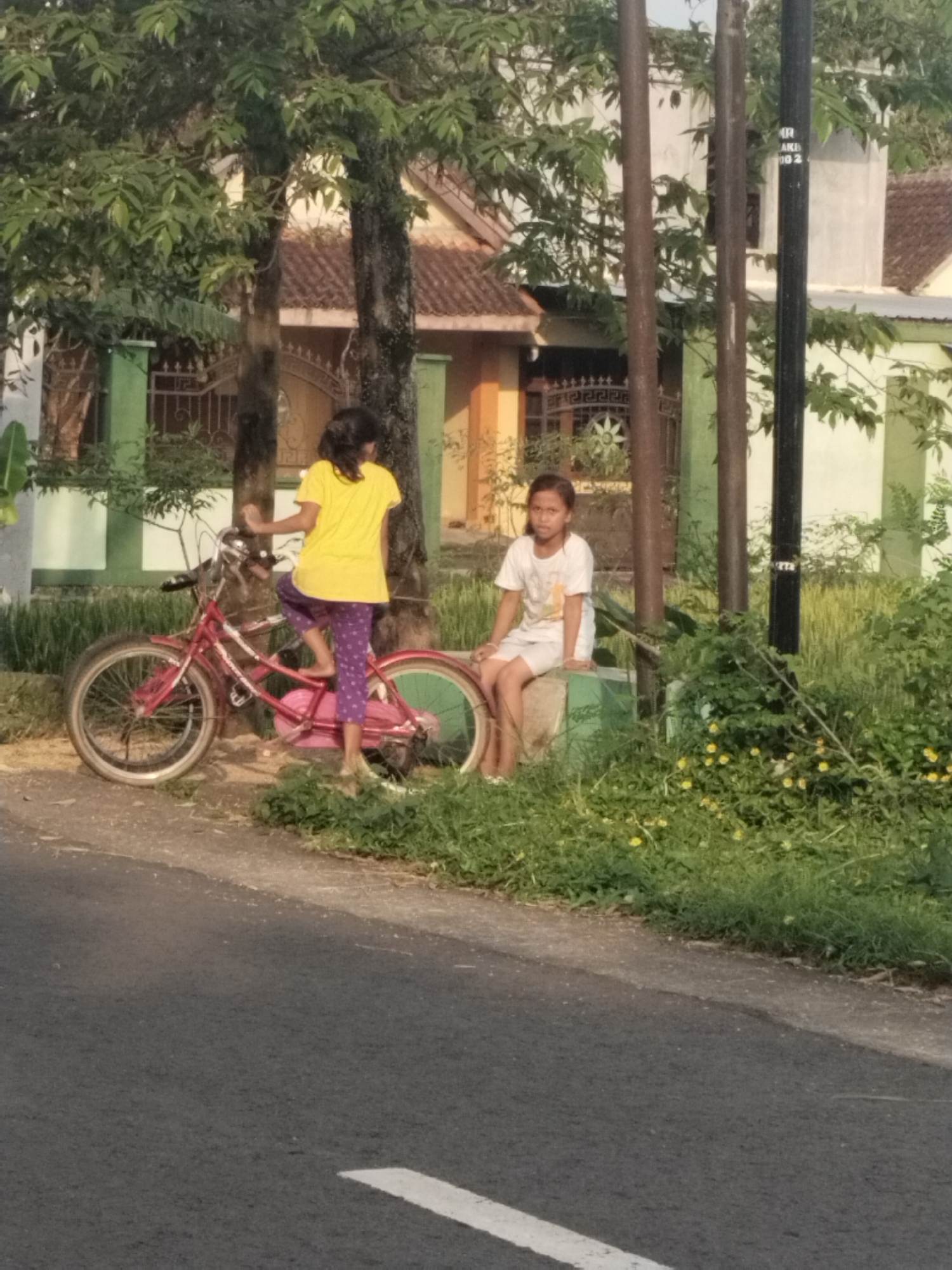 The image captures a casual outdoor scene in Bangsri, Indonesia, likely during the late afternoon or early morning given the soft natural light. Two young girls are the primary subjects.
On the left, a girl in a yellow t-shirt and purple patterned capri pants is positioned on a red bicycle, appearing to be getting on or off it. Her back is mostly turned towards the viewer. The bicycle has white-walled tires.
On the right, another girl, wearing a white t-shirt and white shorts, is seated on a low, green-painted concrete block or wall, looking towards the camera with a neutral expression.
The setting is a roadside with a narrow asphalt road in the foreground, featuring a faint white line marker. Adjacent to the road is an unpaved shoulder with lush green grass and small yellow flowers. Behind the girls and the bicycle are several trees with green foliage and dark trunks. A black utility pole stands prominently on the right, displaying some faint white text, possibly "AKR" and numbers "00 2".
In the background, several residential houses with red tiled roofs and painted walls (green, cream, and orange hues) are visible, along with fences and gates, suggesting a village or suburban environment. The overall scene conveys a relaxed, everyday moment.