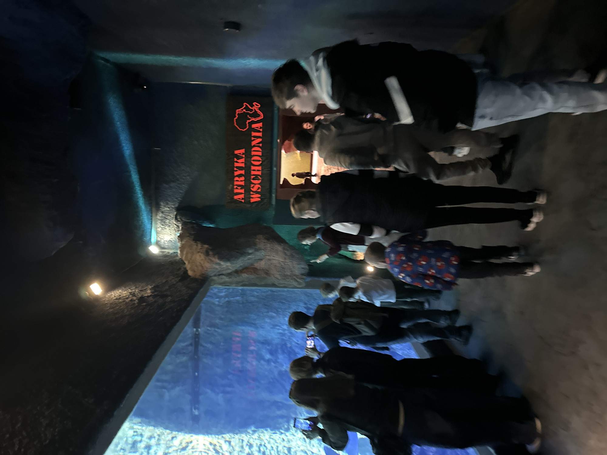 The image shows a group of people observing an aquarium exhibit. The text "Afryka Wschodnia" (East Africa) with a graphic of the African continent is visible on a sign above the exhibit. Several people are looking into the aquarium, some are taking pictures with their phones. The location is likely the Wrocław Zoo in Wrocław, Poland. The scene shows an underwater exhibit, presumably showcasing fish or other aquatic life native to East Africa. The environment is dimly lit, emphasizing the aquarium's glow.
