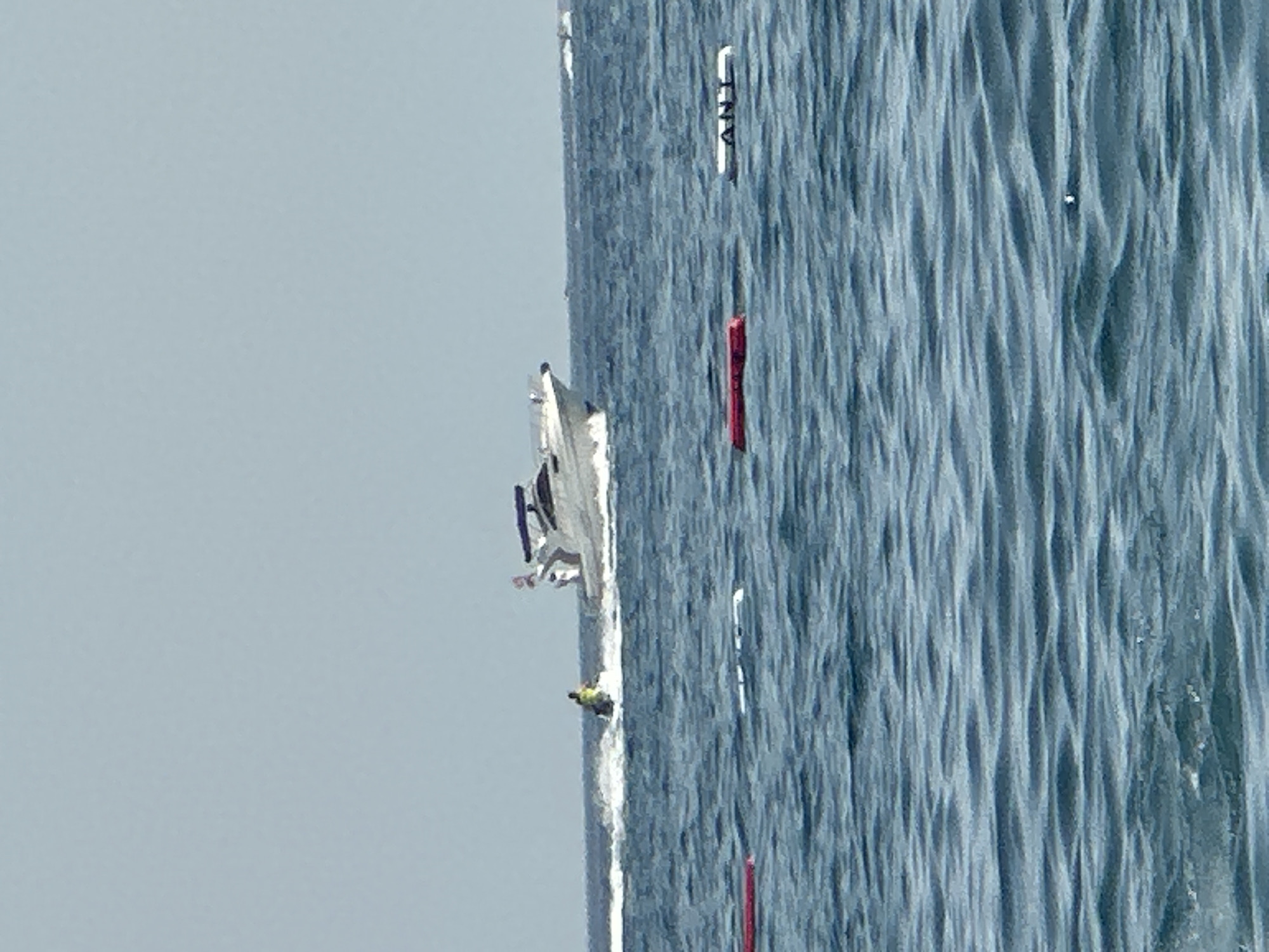 A wide shot captures a body of water with moderate waves under a clear, pale blue sky. In the mid-ground, a white motorboat is traveling from left to right, leaving a wake. A person on a jet ski is visible in front of the motorboat, also moving from left to right. In the foreground, there are several buoys or floating markers. One is red and elongated, positioned on the left side. Further to the right, there are two white rectangular objects, one with dark lettering that appears to spell "ANT". The overall scene depicts a recreational or active water environment, possibly near a beach or coastline. The location is identified as the city of Boreti, Montenegro.