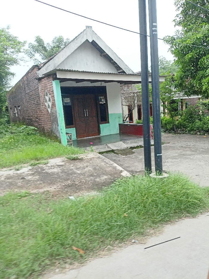 This outdoor image presents a modest, single-story house situated in a rural or semi-rural environment, consistent with Pungging, Indonesia. The house features a prominent brick side wall and a front facade painted in light green and white. A gabled roof, covered with corrugated metal sheets, extends over a small porch or terrace area. The main entrance consists of dark wooden double doors, flanked by windows. To the left of the doors, a small, white rectangular sign with faint blue or black text is visible, though unreadable.
The landscape around the house is characterized by overgrown grass in the foreground and near the building, along with numerous trees forming a dense green backdrop and framing the sides of the scene. The ground in front of the house is partially paved with concrete or asphalt, showing signs of weathering and dirt.
In the immediate foreground, two dark utility poles stand tall, with electrical lines visible stretching across the top of the frame. These poles bear some indistinct white markings.
The scene is devoid of people or animals, and no specific activity is taking place. The lighting suggests it is daytime under an overcast sky, as indicated by the diffused illumination and absence of strong shadows. The overall impression is a static, candid view of a residence integrated into its natural, somewhat untamed surroundings.