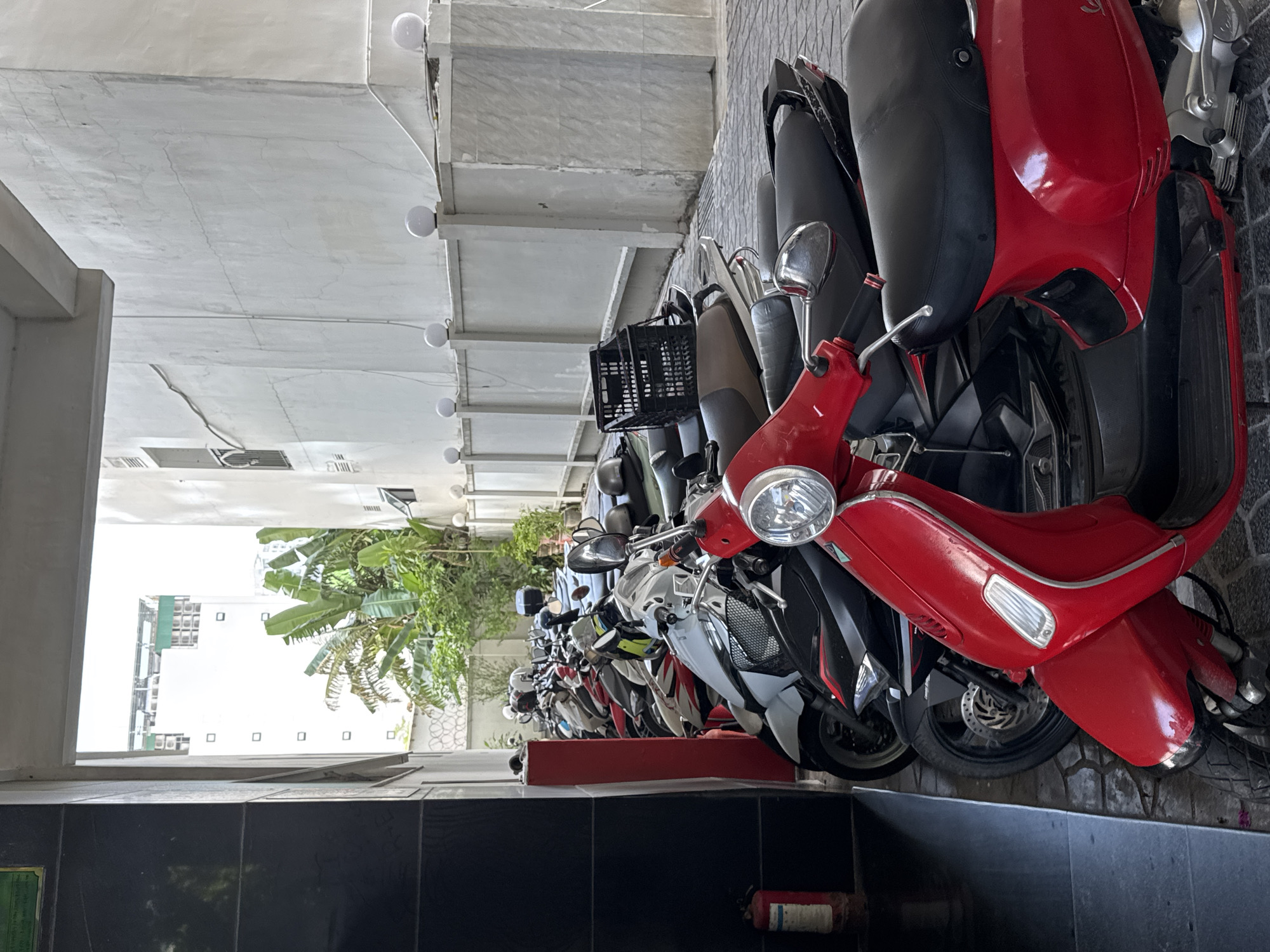 The image captures a row of parked scooters and motorcycles in what appears to be a designated parking area. The scooters are lined up closely, predominantly in shades of red, white, and black. One prominent red scooter is in the foreground, partially obscuring a white scooter behind it. Several other motorcycles and scooters are visible further down the line. The parking area is paved with cobblestones. In the background, lush green banana trees and other foliage are visible, suggesting a tropical or subtropical climate. A white building with a textured wall and some architectural features, including decorative spherical lights along a railing, can be seen. The scene suggests a common urban setting in Vietnam, possibly within a residential or commercial complex. The overall impression is one of a functional, everyday scene.