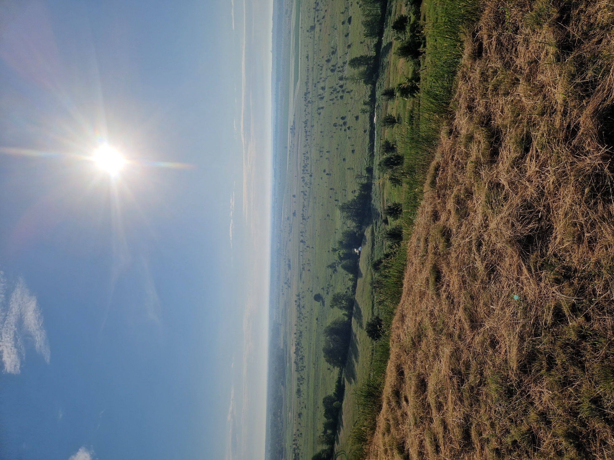 A vertical, eye-level outdoor shot shows a vast, hazy green field under a bright blue sky on a sunny day. The sun is high and bright in the upper right corner, casting a strong lens flare that extends downwards. The foreground features a dry, golden-brown grassy slope. Beyond this slope, the field stretches out, dotted with numerous small, dark green trees and patches of lighter green vegetation. A narrow, dark river or stream winds its way through the middle ground of the field. In the distance, the landscape becomes increasingly indistinct due to atmospheric haze, with faint shapes of distant vegetation or structures visible on the horizon. The overall impression is of a rural, undeveloped landscape bathed in bright sunlight.