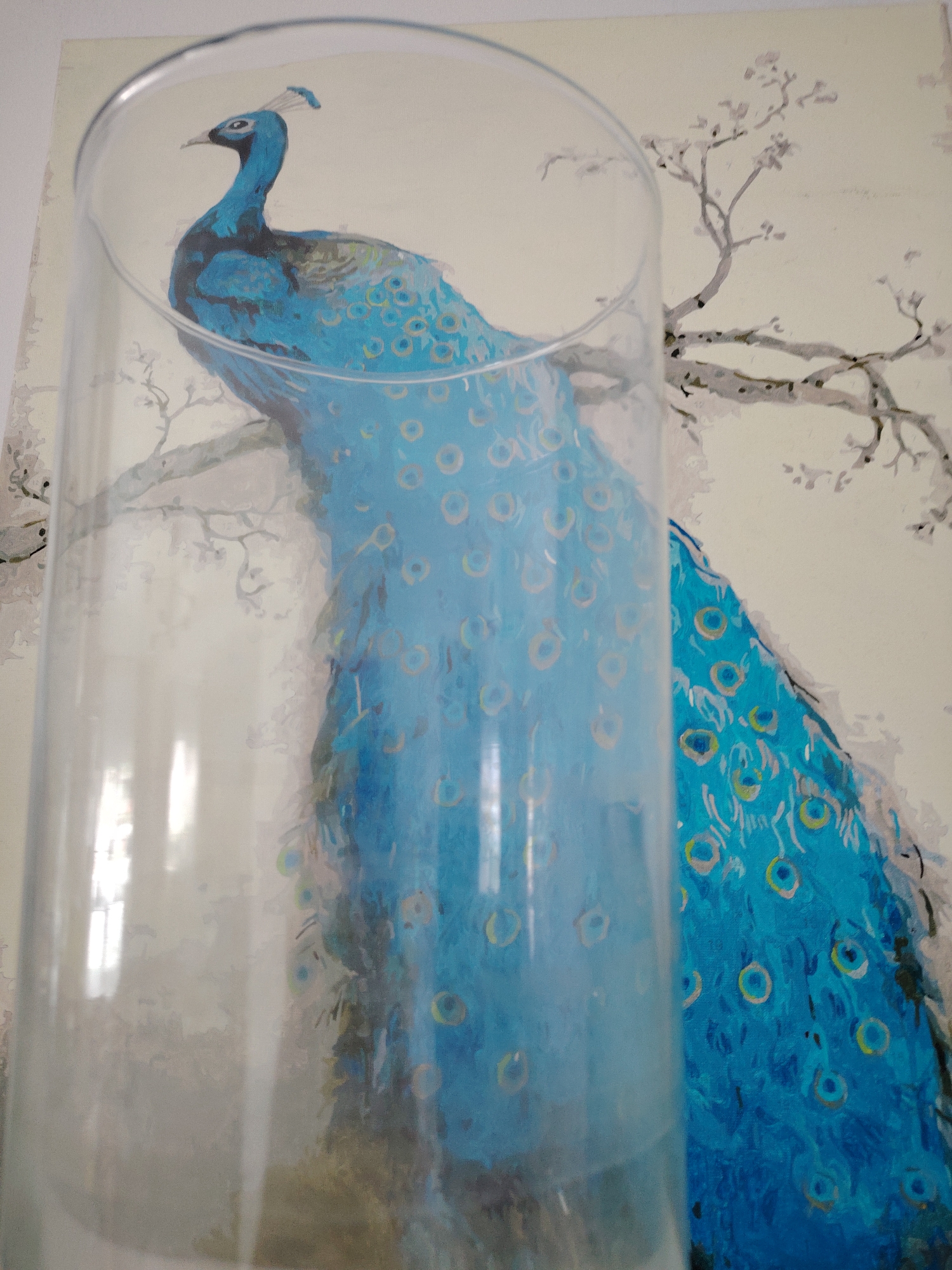 The image shows a clear cylindrical vase partially obscuring a painting of a blue peacock perched on a tree branch. The peacock is depicted with intricate detail, including its head crest and the distinctive eye-shaped markings on its tail feathers. The background of the painting is a light cream color with a gray tree branch extending horizontally. The vase is in the foreground, slightly out of focus, and its transparency allows a distorted view of the painting behind it. The setting appears to be indoors, possibly in a home in an unknown city.