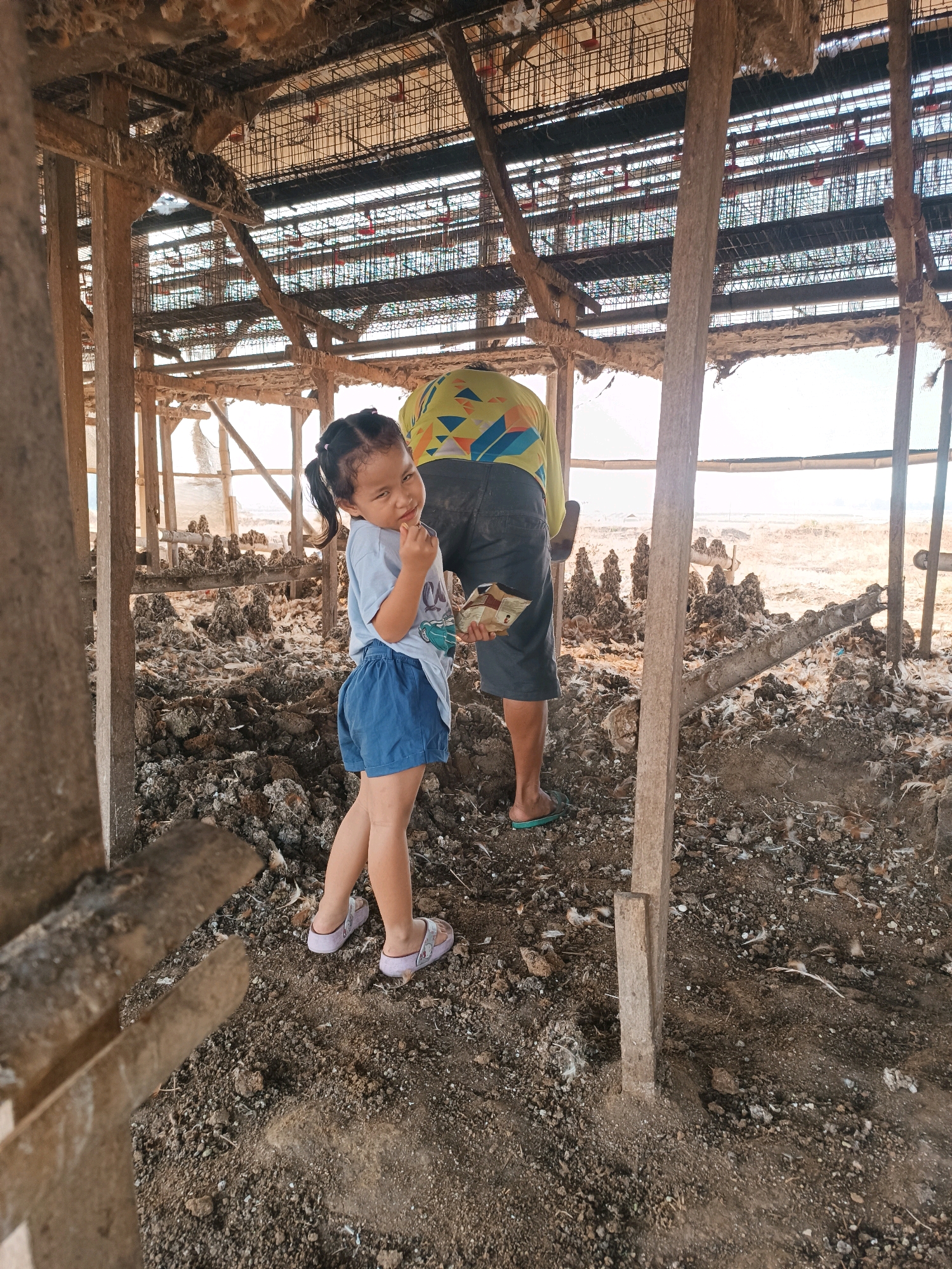 In Tambakromo, Indonesia, within what appears to be a chicken coop, a young girl with pigtails looks back at the camera with a playful expression. She is wearing a light blue t-shirt with a car graphic and blue shorts, and pink sandals. Her left hand is raised near her mouth. Behind her, an adult, partially visible from the back, is wearing a brightly colored yellow, blue, and green shirt and dark shorts, with green flip-flops. The adult is holding a small package. The environment is characterized by dirt and debris on the ground, wooden structural elements, and what appear to be chicken droppings and nesting materials overhead. The lighting suggests an outdoor or partially covered structure.