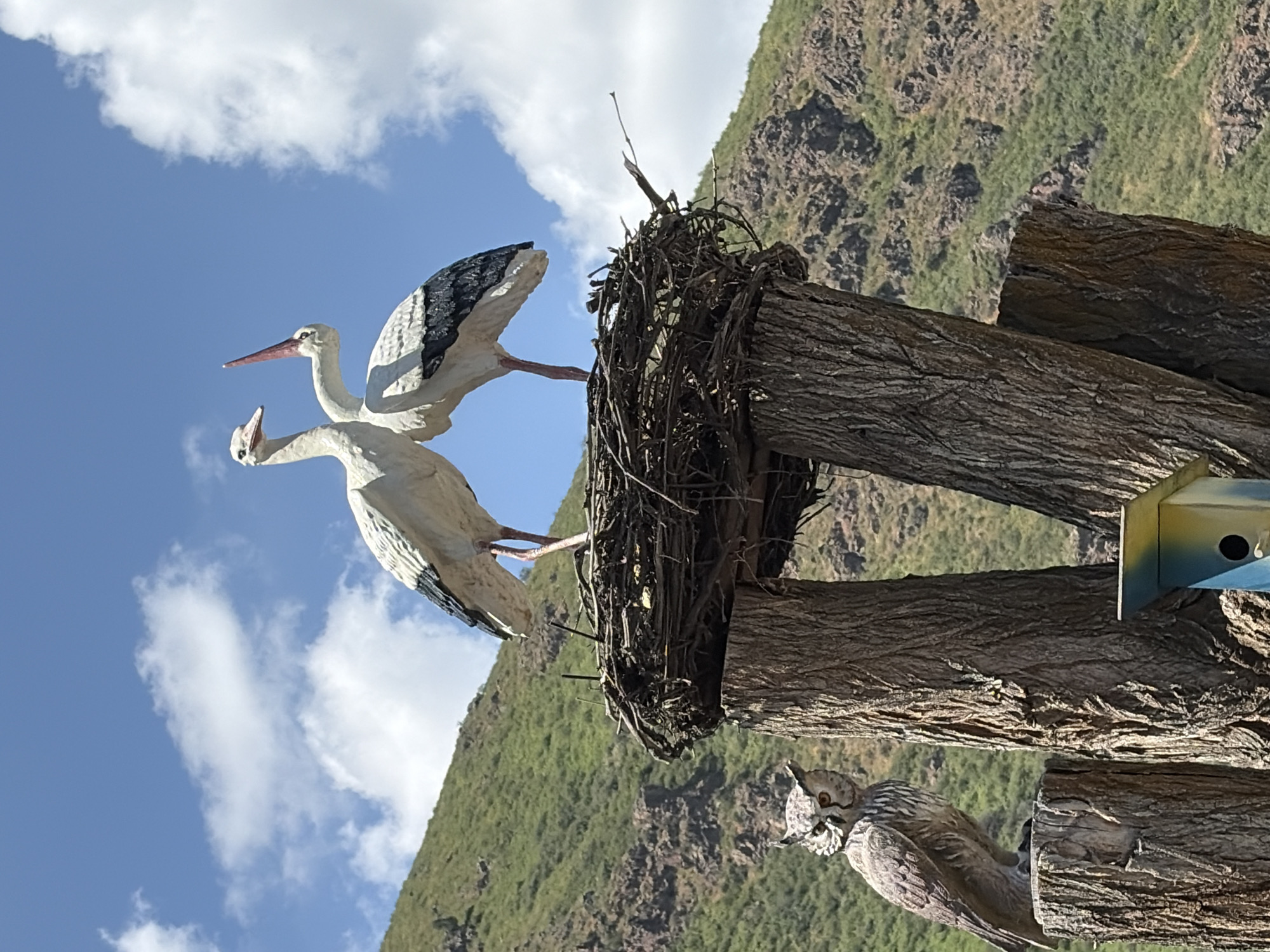 This is a medium shot, eye-level, outdoor photograph of two stork statues and an owl statue. The two stork statues are perched atop a large nest made of twigs, which is supported by two thick, rough-barked tree trunks. The storks are white with black feathers on their wings and long, red beaks. One stork is facing to the left, while the other is facing to the right, with its beak raised. The owl statue is positioned on a smaller tree stump to the left of the stork nest. It is facing left, with its head tilted slightly. The owl is depicted with detailed feathers and piercing yellow eyes. In the background, a steep, green, rocky hillside rises under a bright blue sky with scattered white clouds. A small, brightly colored birdhouse, painted in yellow and blue, is visible at the base of one of the tree trunks supporting the nest. The image is well-lit, with harsh sunlight casting shadows.