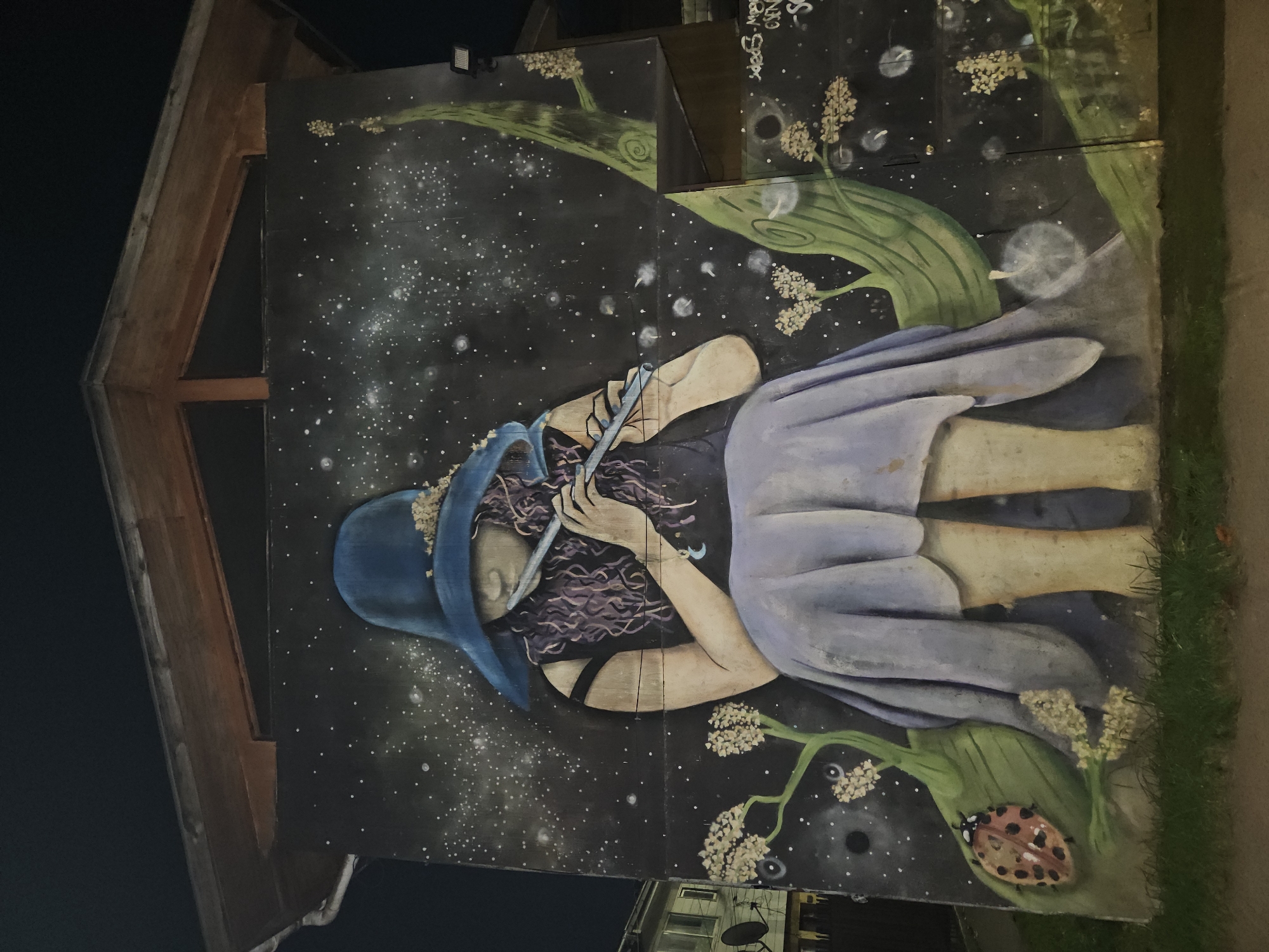 This is a mural in Temuco, Chile. It depicts a figure wearing a blue hat and a purple dress. The figure is lying down and holding a flute to their lips. The background is dark with white dots resembling stars. There are green plants with white flowers and a ladybug painted at the bottom of the mural. The mural is painted on the side of a building with an A-frame roof. The photograph was taken at night.