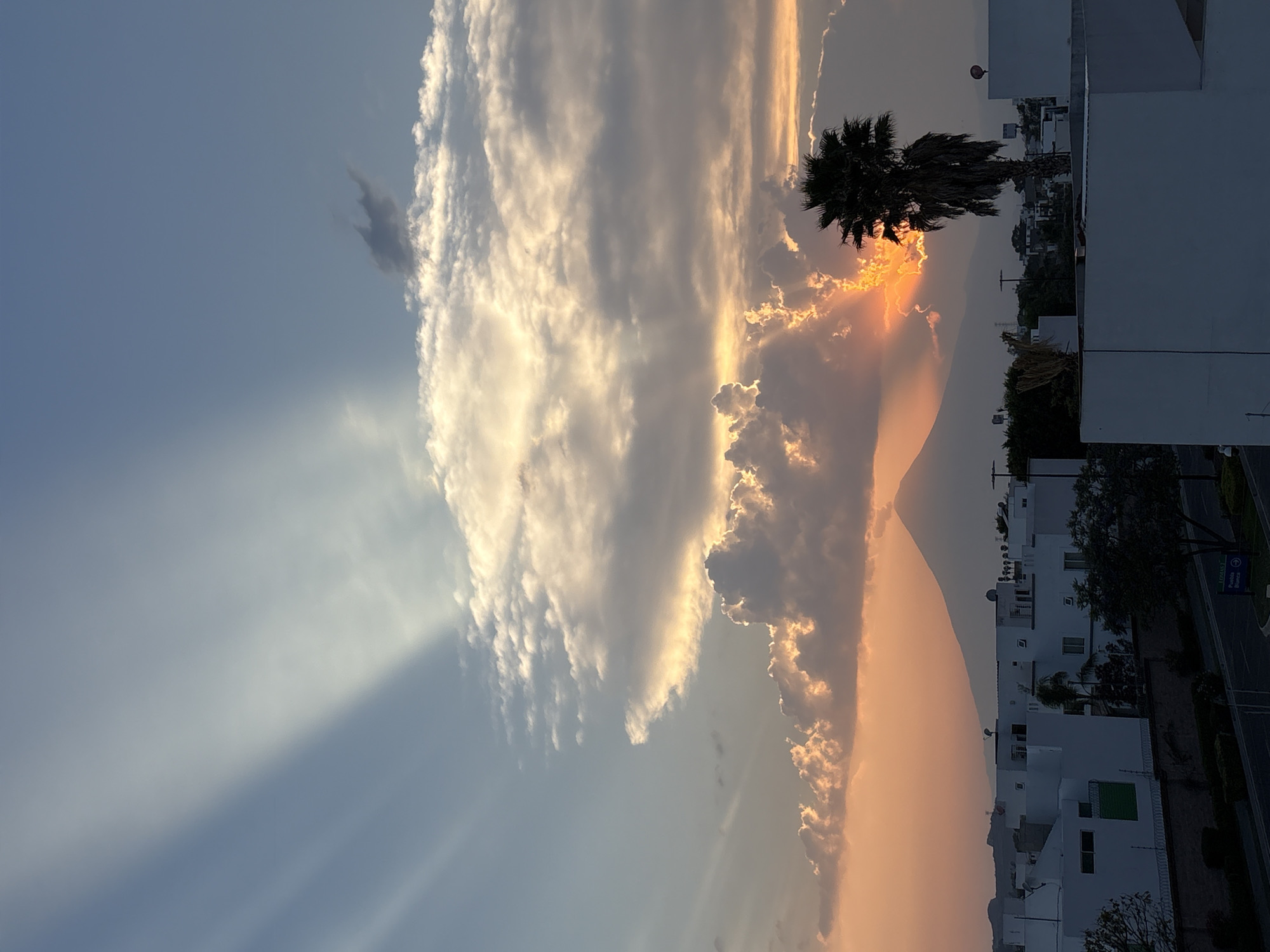 The image presents a dusk or dawn sky over San Bernardino Tlaxcalancingo, Mexico. Large cloud formations dominate the upper portion of the frame, with light and shadow creating dramatic effects. Rays of light pierce through the clouds. In the middle ground, a palm tree silhouette stands against the brightly illuminated clouds behind it. The city's architecture, including houses and low-rise buildings, occupies the lower part of the frame. A possible mountain or large hill is distinguishable in the distance, almost blending with the sky's orange hue. A road, trees, and a sign are noticeable on the right edge of the image. The image is rotated 90 degrees counter-clockwise.