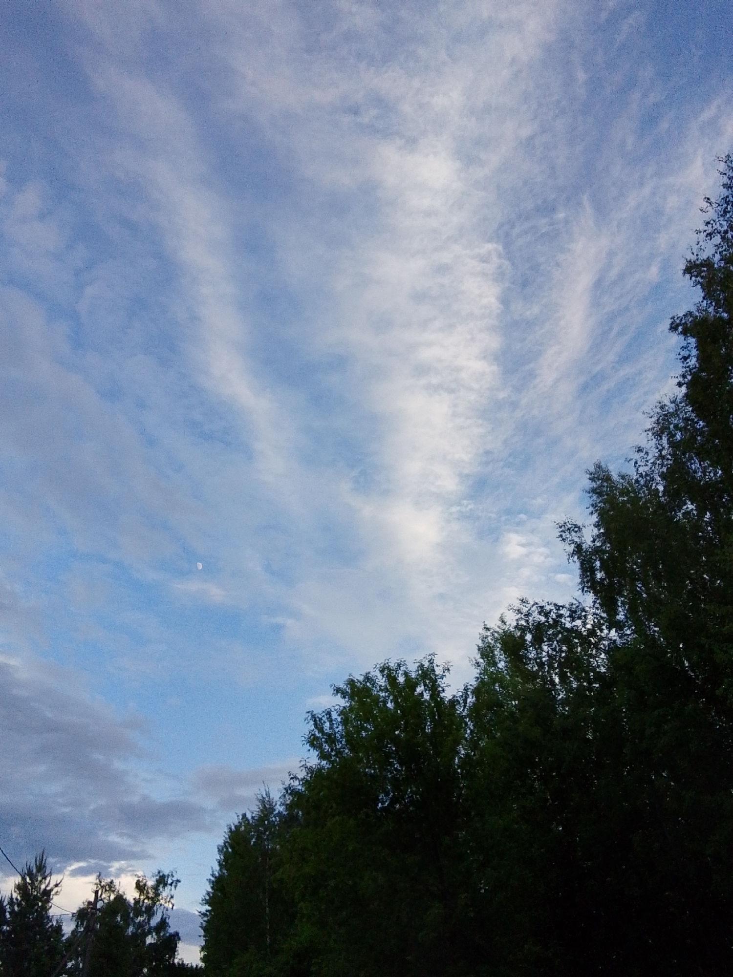 The image shows a view of the sky in Snopok Novyi, Russia. The sky is blue with streaks of white cirrus clouds. In the lower right of the image, there are green trees, and in the lower left there are darker green trees. The moon is faintly visible in the lower-left quadrant of the sky.