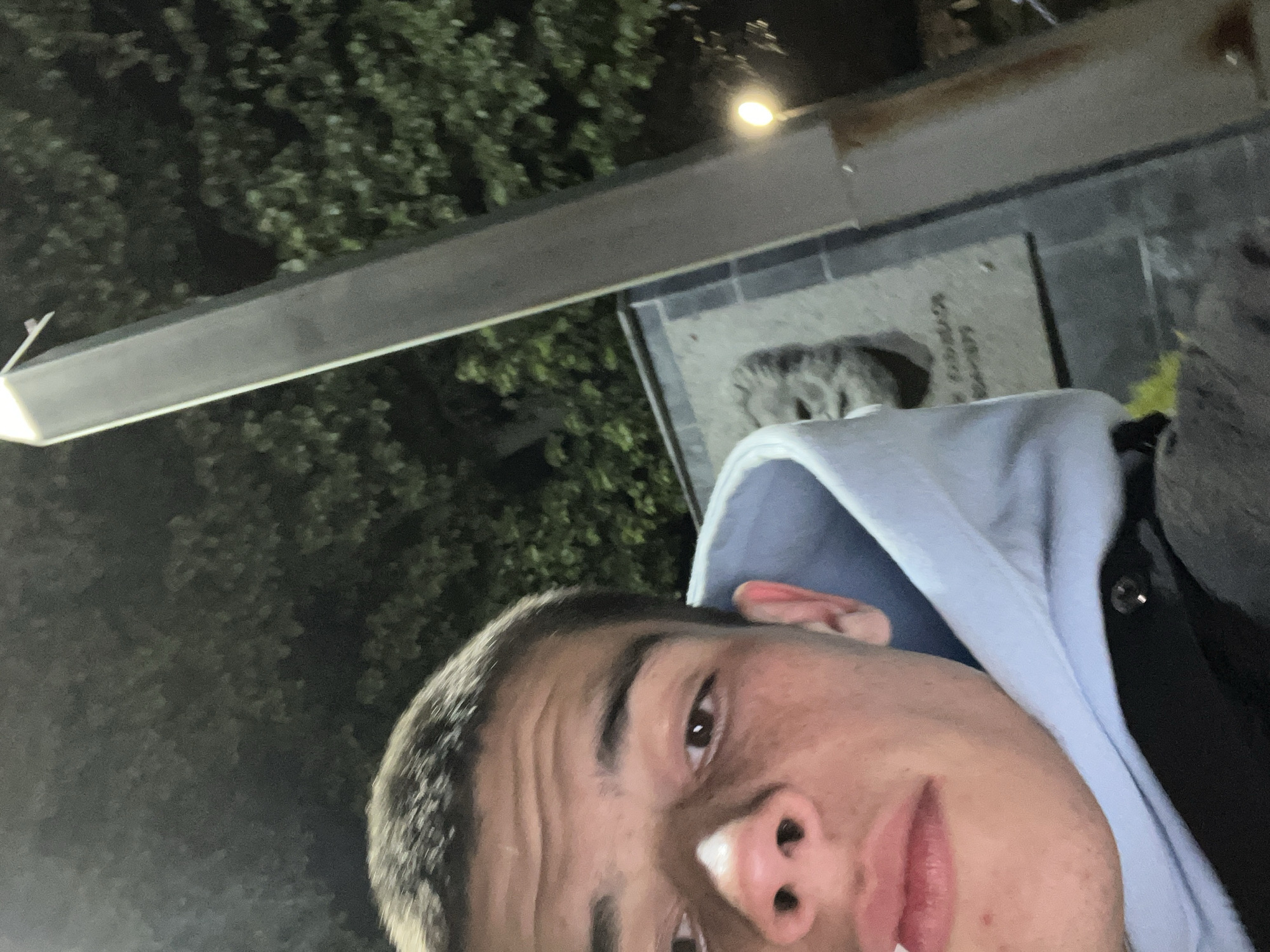 A selfie-style photograph features a person with short, light-colored hair and light skin, wearing a blue hooded sweatshirt. The person's face is prominently displayed in the foreground, slightly angled to the right. The background includes a street lamp or light fixture, a tree with green foliage, and a structure that appears to be a monument or marker. The location is possibly Karavelovo, Bulgaria, based on the information provided. There are no explicit actions or interactions depicted in the image. The environment suggests an outdoor setting, possibly at night.