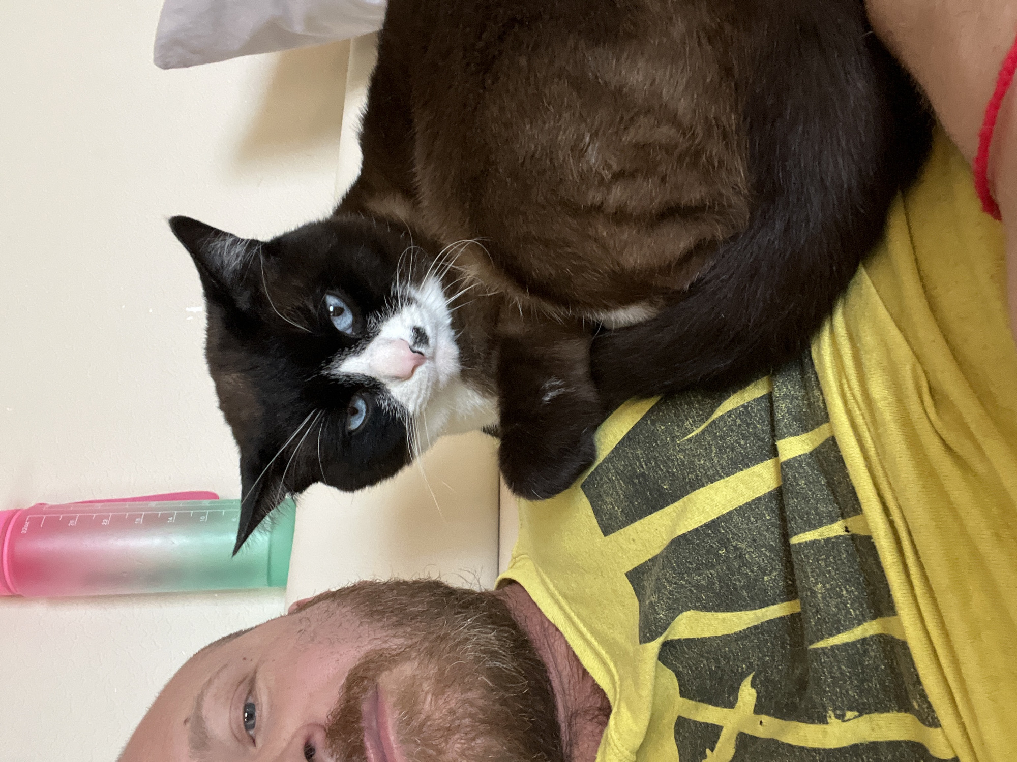 A close-up, rotated view of a man and his cat. The man has a reddish-brown beard and is wearing a yellow t-shirt with a black graphic design. The cat is predominantly brown with black and white markings on its face and chest, and piercing blue eyes. The cat is positioned atop the man's chest. A plastic water bottle or container with a pink lid and a green base is visible in the background, near the man's head. The background also includes a light beige wall and a hint of a white sheet or cloth.