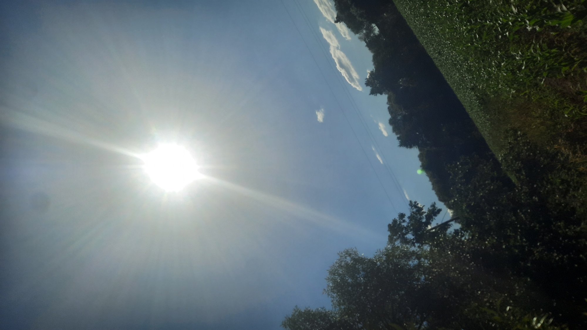 The image depicts a bright, sunlit outdoor scene under a clear blue sky. The sun is prominently positioned in the upper center of the frame, emitting strong rays that create a lens flare effect. The sky is predominantly clear with a few scattered white clouds. In the foreground and mid-ground, there is lush green vegetation. The left side of the image features a dense cluster of trees with dark green foliage. The right side shows a sloped field with rows of young green plants, possibly a crop like corn. A power line with two parallel wires runs horizontally across the middle-right portion of the image, supported by unseen poles. The overall impression is one of a rural or semi-rural environment on a sunny day. The location is specified as Shklov, Belarus.