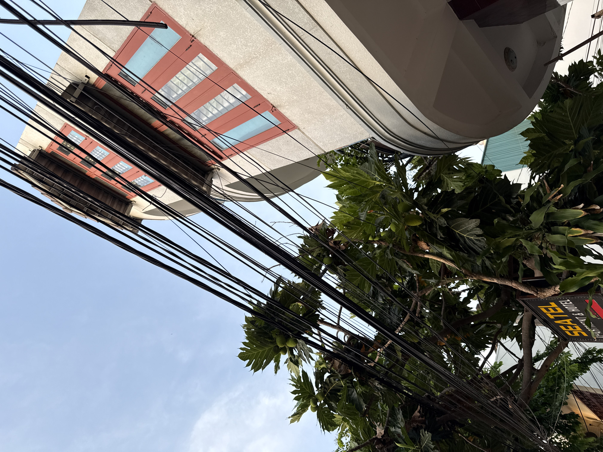 This is an upward-angled, full-shot photograph taken in the city of Nha Trang, Vietnam, featuring a building with distinctive red-framed windows and a large tree laden with fruit, all partially obscured by a dense network of black electrical wires. The building is situated on the right side of the frame, its curved facade displaying multiple levels of windows. The windows have red frames and pale blue panes, some with visible internal grilles. The building's exterior is a light-colored, textured material. The tree, on the left, is lush and green, with large leaves and several visible green fruits, likely from the breadfruit tree species commonly found in Vietnam. Numerous black electrical wires crisscross the foreground, creating a visual barrier and a sense of urban density. In the lower left corner, a dark sign with yellow lettering reads "SEATEL APARTMENT & HOTEL". The sky above is a clear, pale blue. There are no people visible in the image.