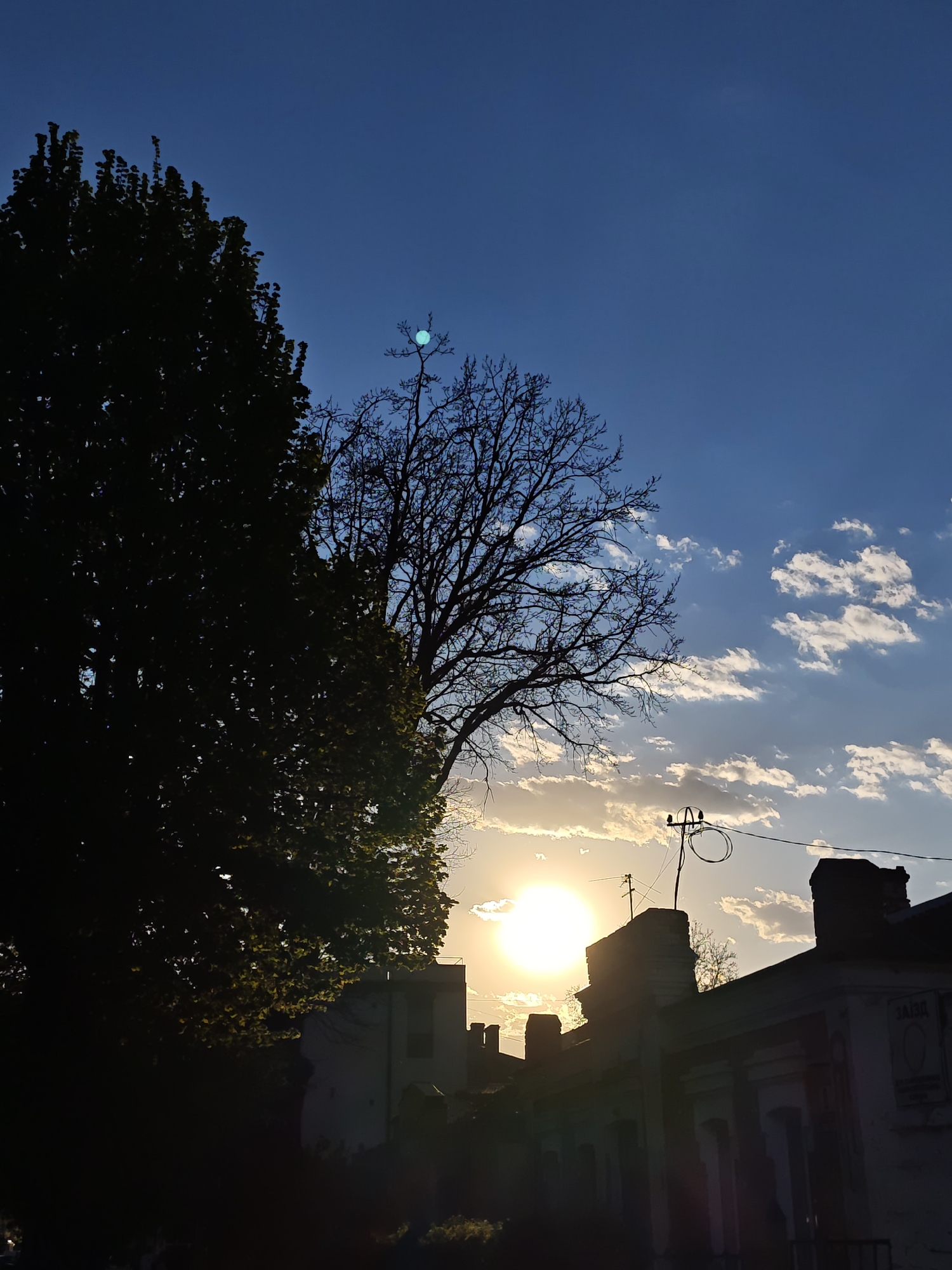 The image depicts a sunlit scene in Vinnytsia, Ukraine. The sun is positioned behind a silhouetted building, creating a halo effect. A large tree with dense foliage occupies the left side of the frame, contrasted by a bare tree to the right of the sun. The sky is a mix of blue and white, with scattered clouds. Power lines are visible extending across the top of the building. The architecture of the building suggests it is an older structure.