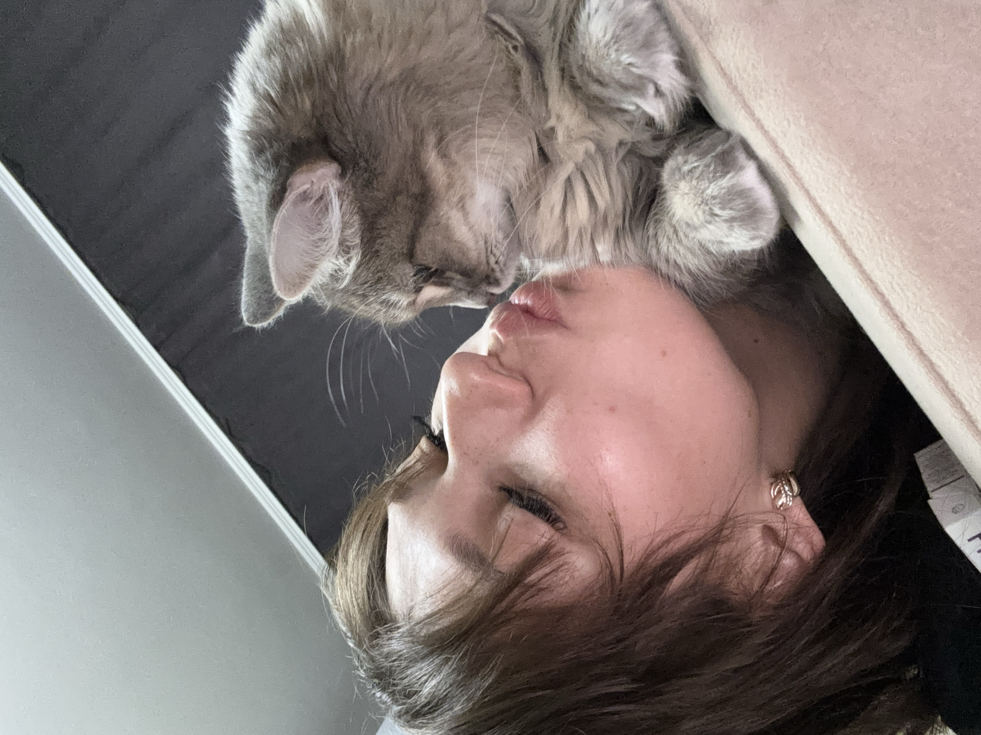 An eye-level, close-up shot shows a young woman with dark brown hair and closed eyes leaning in to kiss a fluffy gray cat. The woman is on the left of the frame, her lips pursed and her face angled towards the cat. She is wearing a small gold earring. The cat is on the right of the frame, its head turned towards the woman, with its eyes also closed. The cat's paw is resting on what appears to be a light-colored, textured surface, possibly a blanket or pillow. The background is a dark, textured wall with a diagonal white trim separating it from a lighter gray ceiling. The image captures a tender moment between the woman and her pet. The location is the city of Novokuznetsk, Russia.