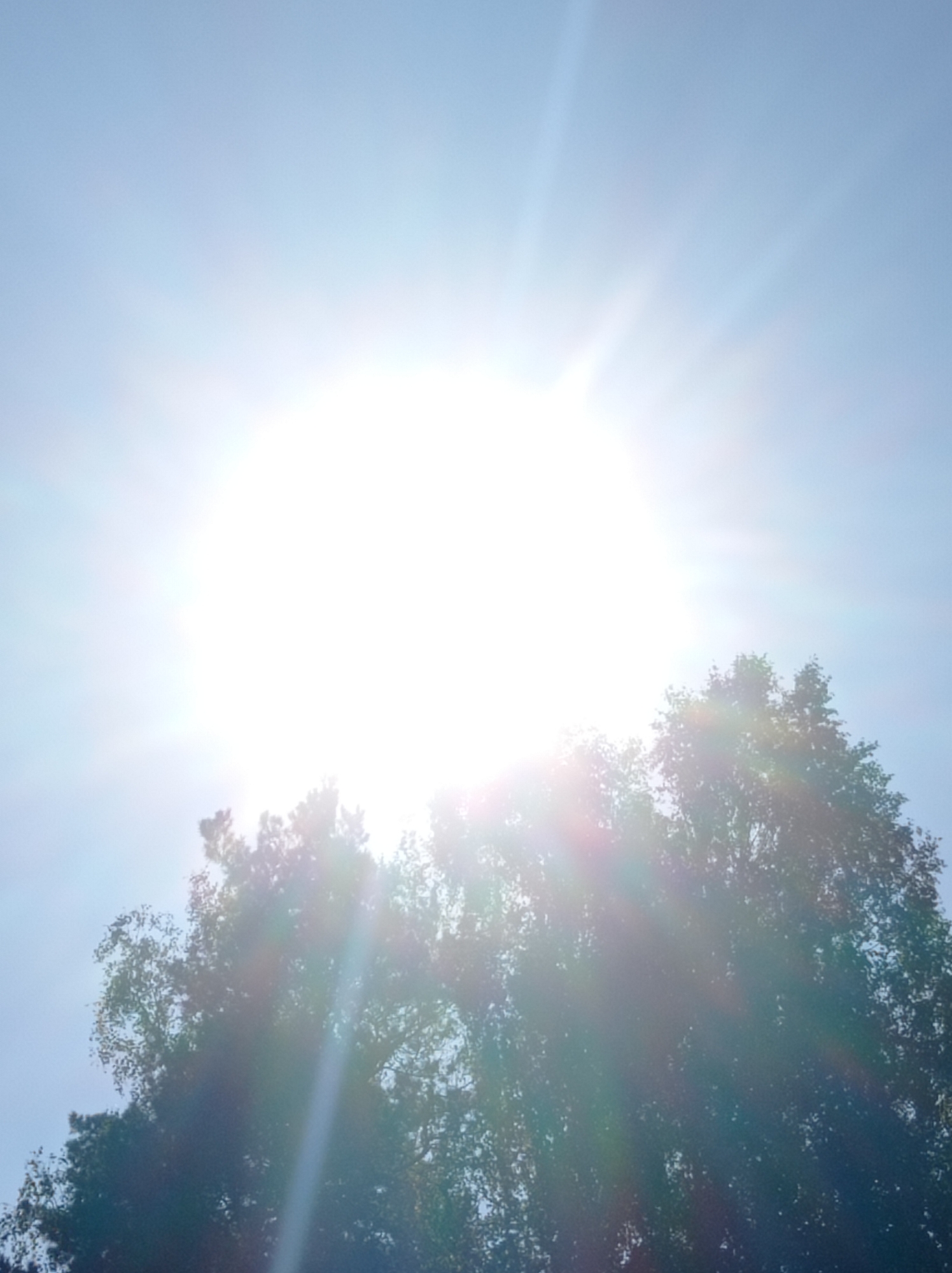 A bright, sunlit sky with visible sunbeams dominates the upper portion of the image. The sun is positioned in the upper center, creating a strong lens flare effect that washes out much of the sky. Below the sky, the upper branches and dense foliage of a tree are visible, silhouetted against the bright sky. The tree appears to be a deciduous tree, with leaves that are dark green and closely packed. There are no people or other objects clearly discernible in the image. The scene is likely an outdoor environment, possibly a park or a residential area, in Degtyarsk, Russia. The lighting suggests it is daytime, with the sun high in the sky.