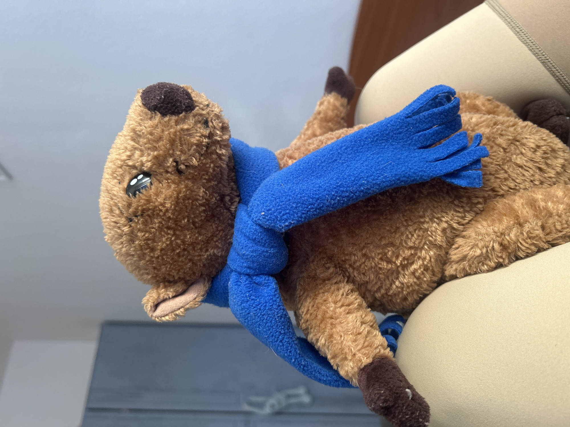 A close-up shows a brown stuffed animal, possibly a bear or dog, wearing a blue scarf with fringed ends. The toy is lying on a beige surface, potentially a cushion or piece of furniture. The location and city are unknown.