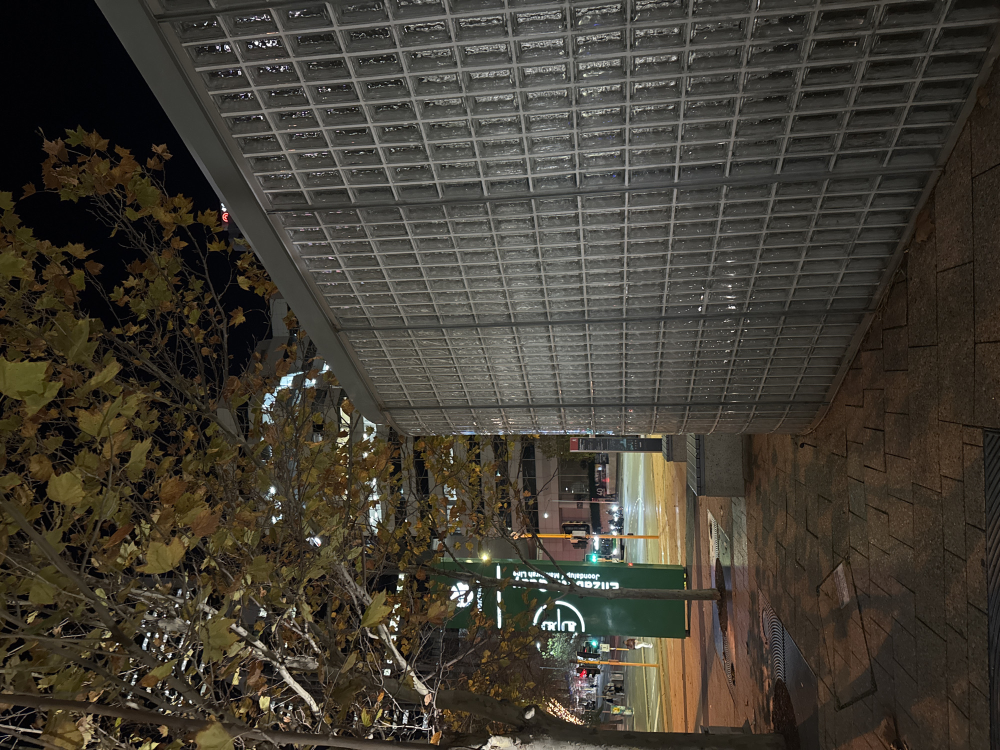 An urban street scene unfolds at night, viewed from under a distinctive, illuminated glass block canopy.
A large deciduous tree, adorned with yellowish-brown autumnal leaves, occupies the left foreground, its branches reaching into the dark sky. Overhead, a wide canopy constructed from numerous translucent glass blocks in a grid pattern, supported by grey metal beams, extends across the frame. This structure reflects the ambient city lights.
The perspective looks along a wet street surface, which vividly reflects the various artificial lights. In the mid-ground, multiple traffic lights are visible, displaying red, green, and yellow signals. A tall, prominent green informational sign stands on the street. White text on this sign clearly reads "Joondalup," with additional fragmented text like "Man" and "Life" visible below it, accompanied by a circular logo or emblem.
To the right, a dark, textured paved sidewalk or footpath runs parallel to the street. The scene depicts a quiet city nightscape, well-lit by urban infrastructure, with no people clearly visible. The "Joondalup" text on the sign indicates the location is in Perth, Australia. The wet street surface enhances the reflections of the urban illumination.