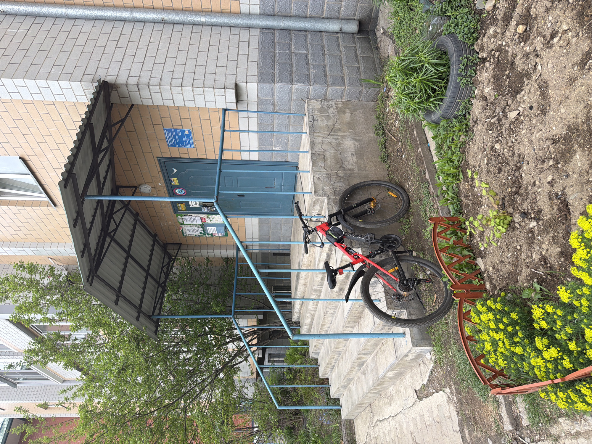 An outdoor scene shows the entrance of a building, likely a residential or public building, with a red and black bicycle lying haphazardly across the bottom of the steps leading up to the door. The steps are concrete with blue metal railings. The building's facade is constructed of grey and yellow brick, and a covered awning with metal supports extends over the entrance. A blue door and various notices are seen on the building's exterior. The surroundings include soil, vegetation, a tire used as a planter, and a small fence enclosing a flower bed with yellow flowers. A tree is partially visible on the left. This scene is in the city of Birobidzhan, Russia.