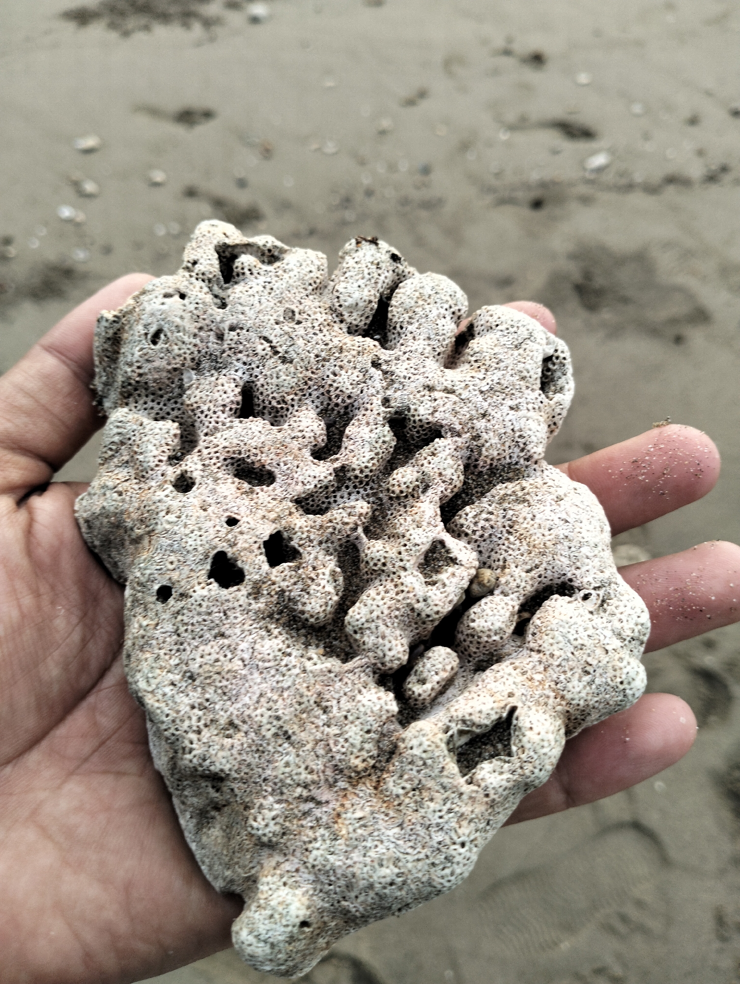 A hand holds a piece of coral on a beach. The coral is porous and off-white, with visible holes and textured surfaces. The hand is tanned, with grains of sand on the fingers. The background shows a sandy beach, slightly out of focus. The location is likely near Lhokmanee, Indonesia, given the prompt.