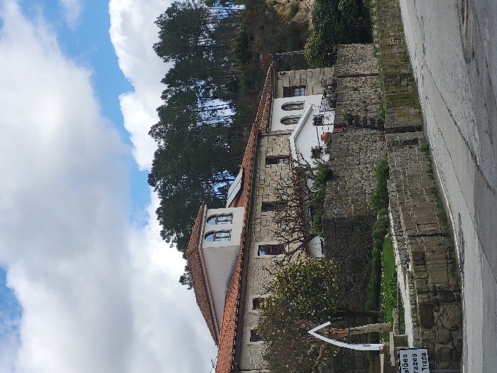 The image displays a rural residential scene in São Pedro do Sul, Portugal, under a partially cloudy sky with visible blue patches. In the foreground, a paved asphalt road curves slightly. To the left of the road, a white rectangular directional sign displays "alões," "razes," and "Trapa" in dark lettering. Parallel to the road, a robust dry-stacked stone wall, exhibiting some moss growth, retains an elevated garden area. Within this garden, behind the wall and to the left, a white arched shrine with a brown figure (likely a crucifix) stands on a stone base, adjacent to a small tree with white blossoms.
Dominating the midground is a multi-story building complex constructed primarily of light grey stone blocks with numerous windows, some square, some arched. The roofs are covered with reddish-orange terracotta tiles. A section of the building features a lighter, possibly stuccoed, upper facade with two distinct arched dormer windows, and a small solar panel is visible on a rooftop section. To the right of the main stone structure, a smaller, white-painted annex is visible, also featuring arched windows. The background is characterized by a dense forest of tall, dark green coniferous trees covering a sloping hillside. No individuals, vehicles, or discernible actions are present.
