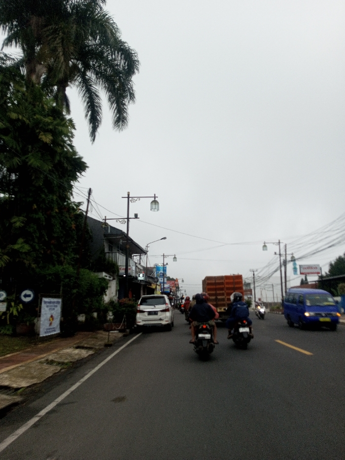 The image depicts a street scene in Chagzam_Pam, Bhutan, under an overcast sky. A two-lane asphalt road extends into the distance, delineated by a solid white line on the left and a yellow dashed line centrally. On the left, dense foliage, including a prominent palm tree, borders a sidewalk where a white SUV is visible, possibly parked. Two helmeted individuals on motorcycles are positioned in the midground, moving away from the viewer. Behind them, a large, rectangular brown cargo truck occupies the lane. A blue van is visible on the right side of the road. Decorative streetlights with lantern-style fixtures are spaced along both sides of the road, accompanied by utility poles and overhead wiring on the right. Buildings, some with balconies, are visible behind the trees on the left. Street signs are present on the left sidewalk, including one with a "P" and a right-pointing arrow.