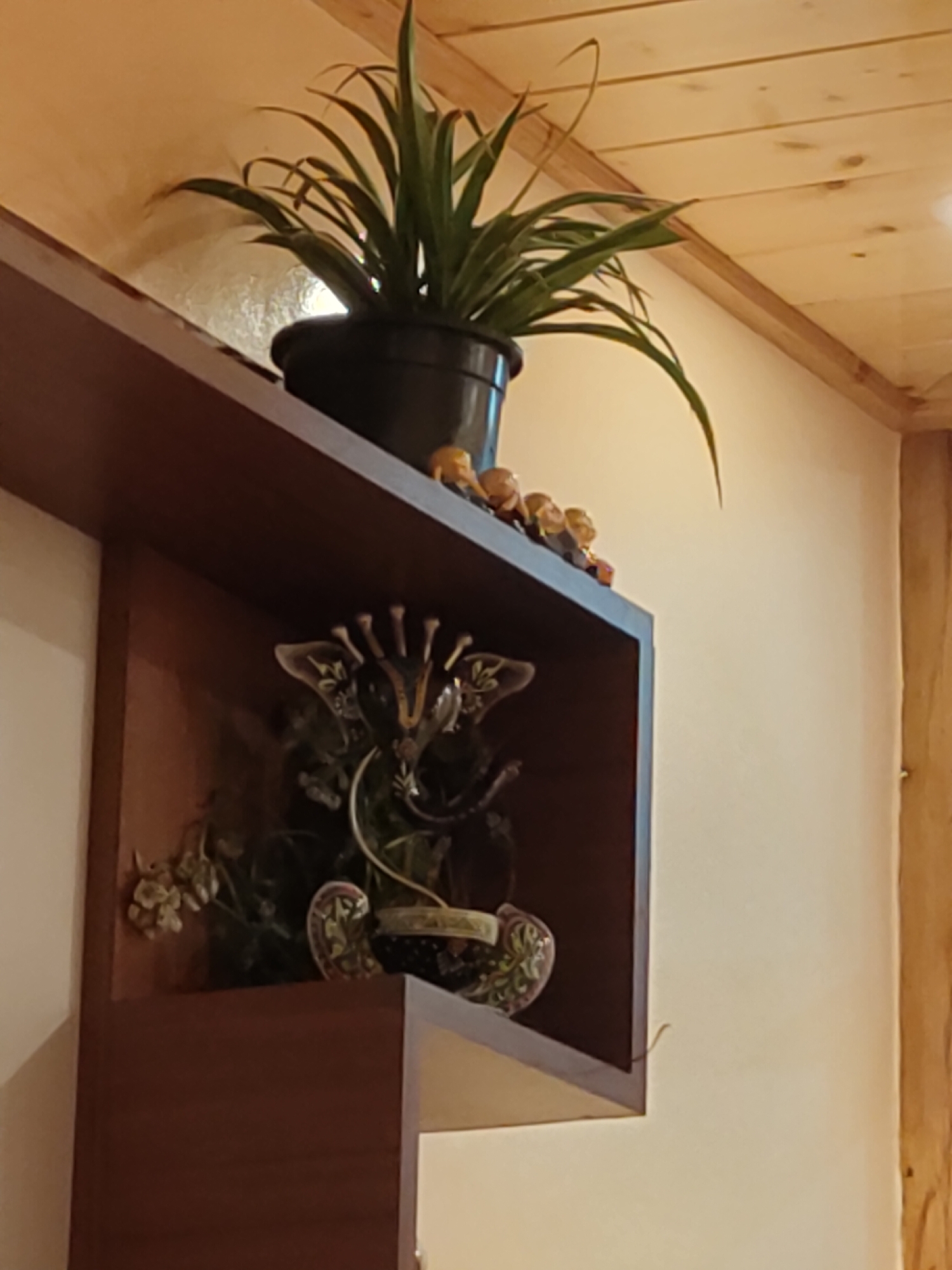 The image depicts an indoor scene, likely a home or commercial establishment, featuring a wooden shelf unit. On the top shelf, a potted green plant with long, slender leaves is placed in a black pot. To the right of the plant, a line of small figurines, appearing to be humans or animals, are arranged. The shelf is positioned against a cream-colored wall, and a wooden ceiling with visible planks is visible at the top of the frame.
On the lower shelf, which is recessed into the unit, a decorative object is prominently displayed. This object appears to be a stylized representation of an animal, possibly a giraffe or a deer, with an intricate design. It is surrounded by greenery and some small, decorative floral elements. The shelf itself is made of dark wood, creating a contrast with the lighter wall. The lighting in the scene suggests an indoor environment with soft, ambient illumination.
The image does not provide any visual cues that would allow for a specific location in Burwa, India, to be identified.