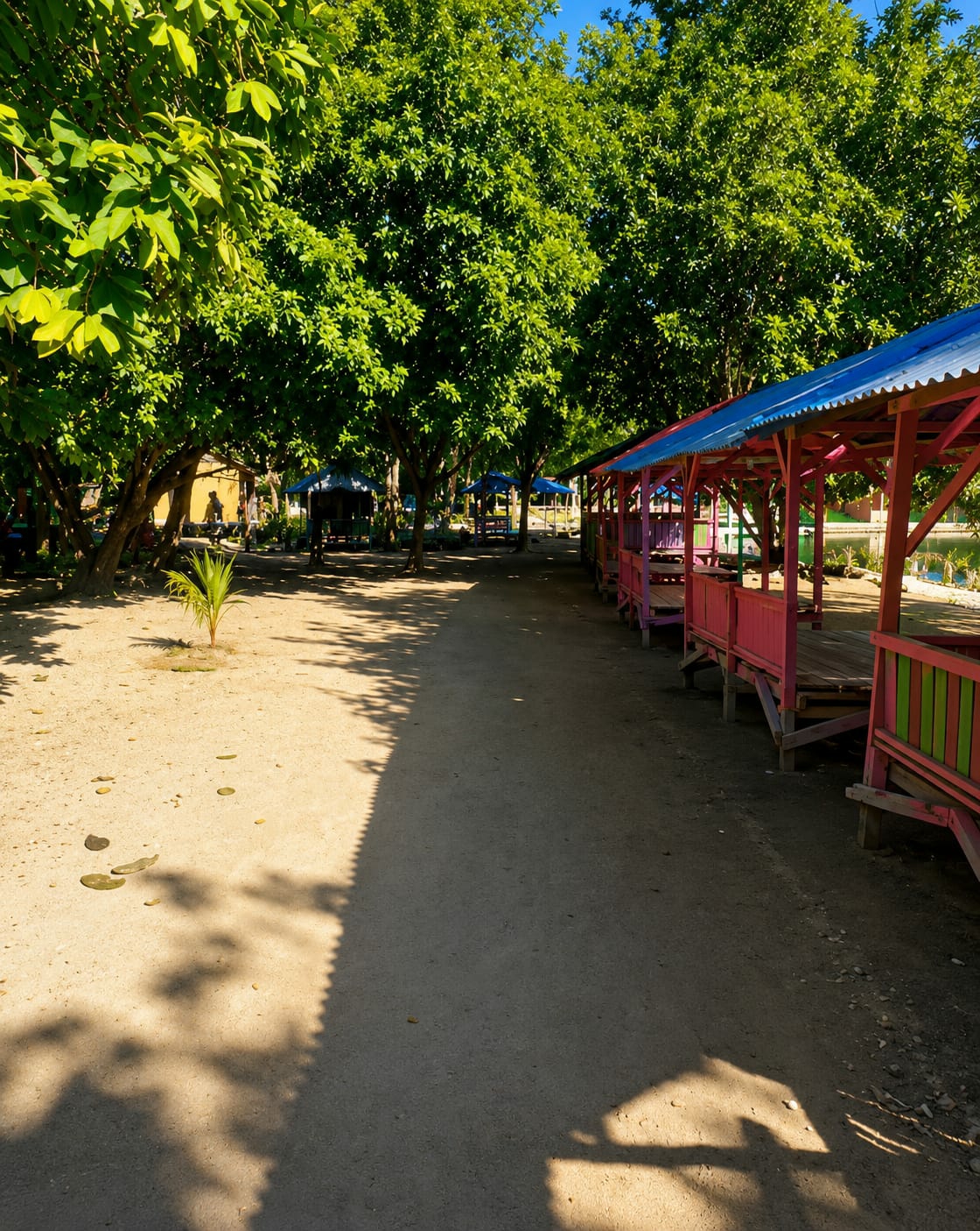 The image depicts an outdoor scene in Silaiyajae, Indonesia, characterized by a sandy path lined with trees and small, colorful structures. On the right side of the path, a row of open-air shelters with pink and blue roofs and bright pink railings stands prominently. These structures appear to be made of wood and are elevated on stilts, suggesting they might be used for seating or as small stalls.
The left side of the path is dominated by the lush green canopy of large trees, casting dappled shadows on the sandy ground. A small, newly planted palm tree is visible in the foreground on the left, adding a touch of tropical vegetation. The ground is a mix of sand and scattered pebbles. In the background, further down the path, more shelters can be seen, some with blue roofs, and a few figures are present, though their details are not clear. The overall impression is of a relaxed, possibly recreational area, with the bright colors of the shelters contrasting with the natural greenery and sandy terrain. The sunlight suggests it is daytime.